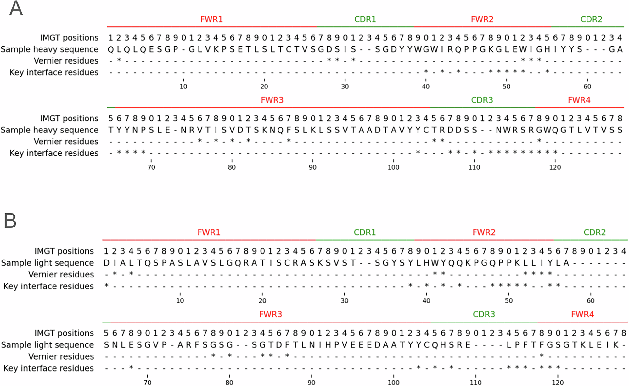 Fig. 7: Key interface residues compared to Vernier residues in the IMGT numbering scheme.
