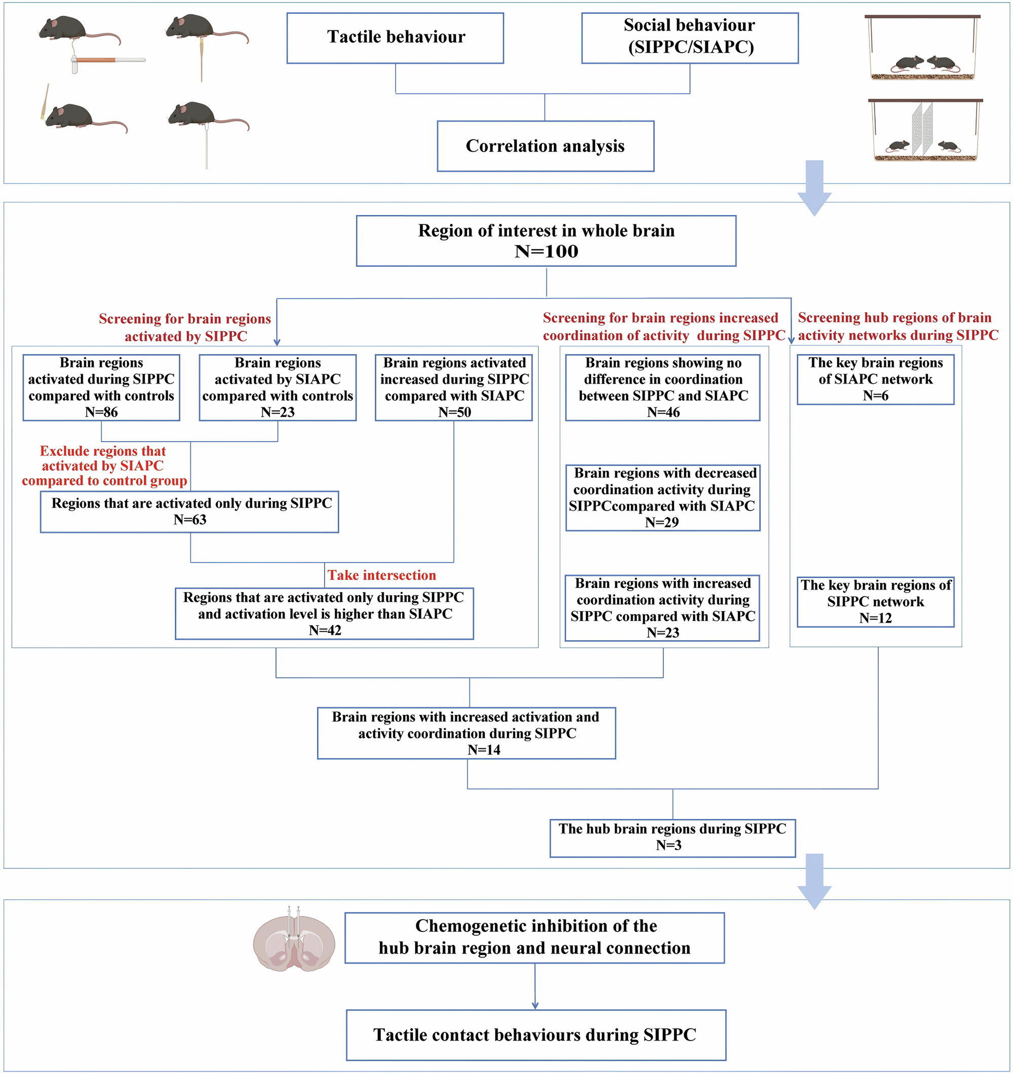Fig. 1: Procedures for this study.