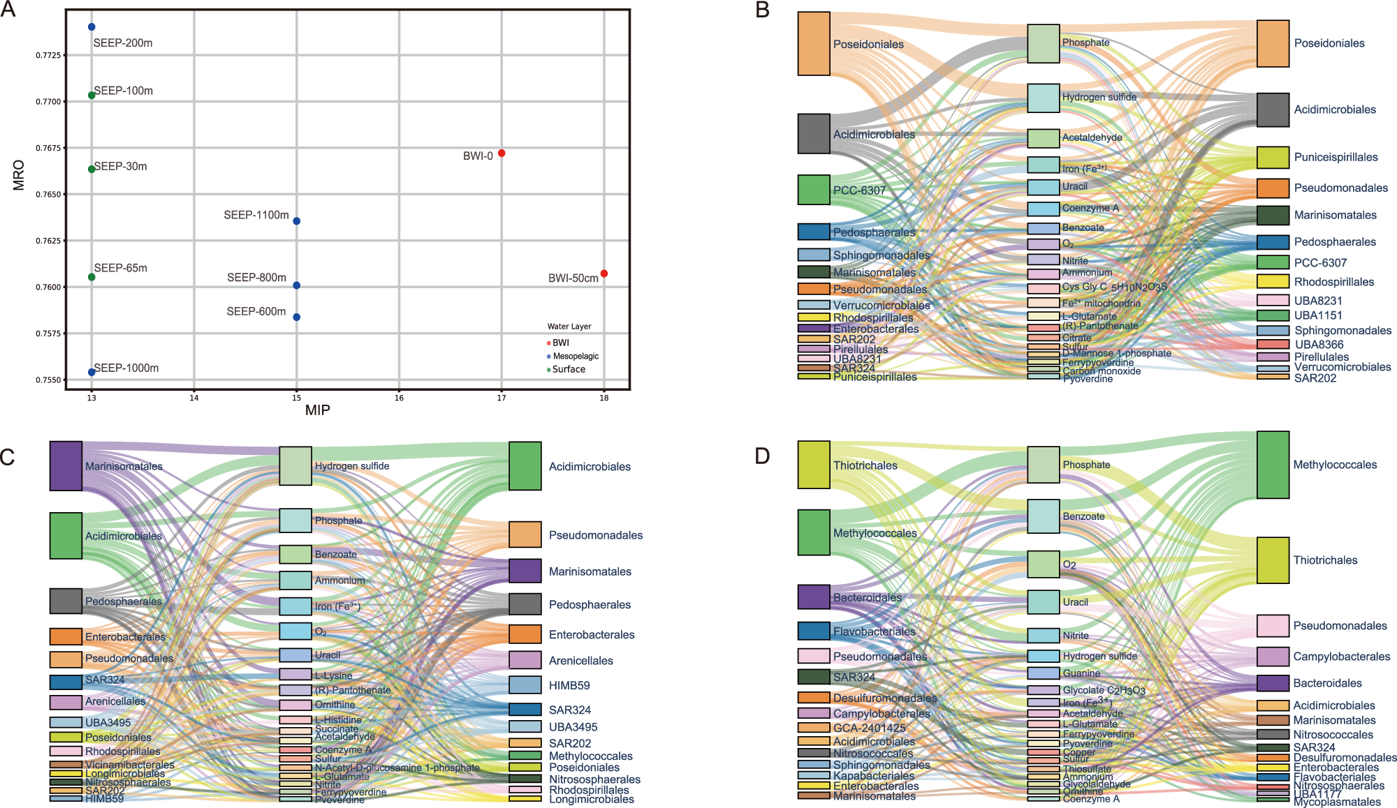 Fig. 6: Competition-cooperation interactions and metabolic relationships across the microbial communities in F-site cold seep water columns.