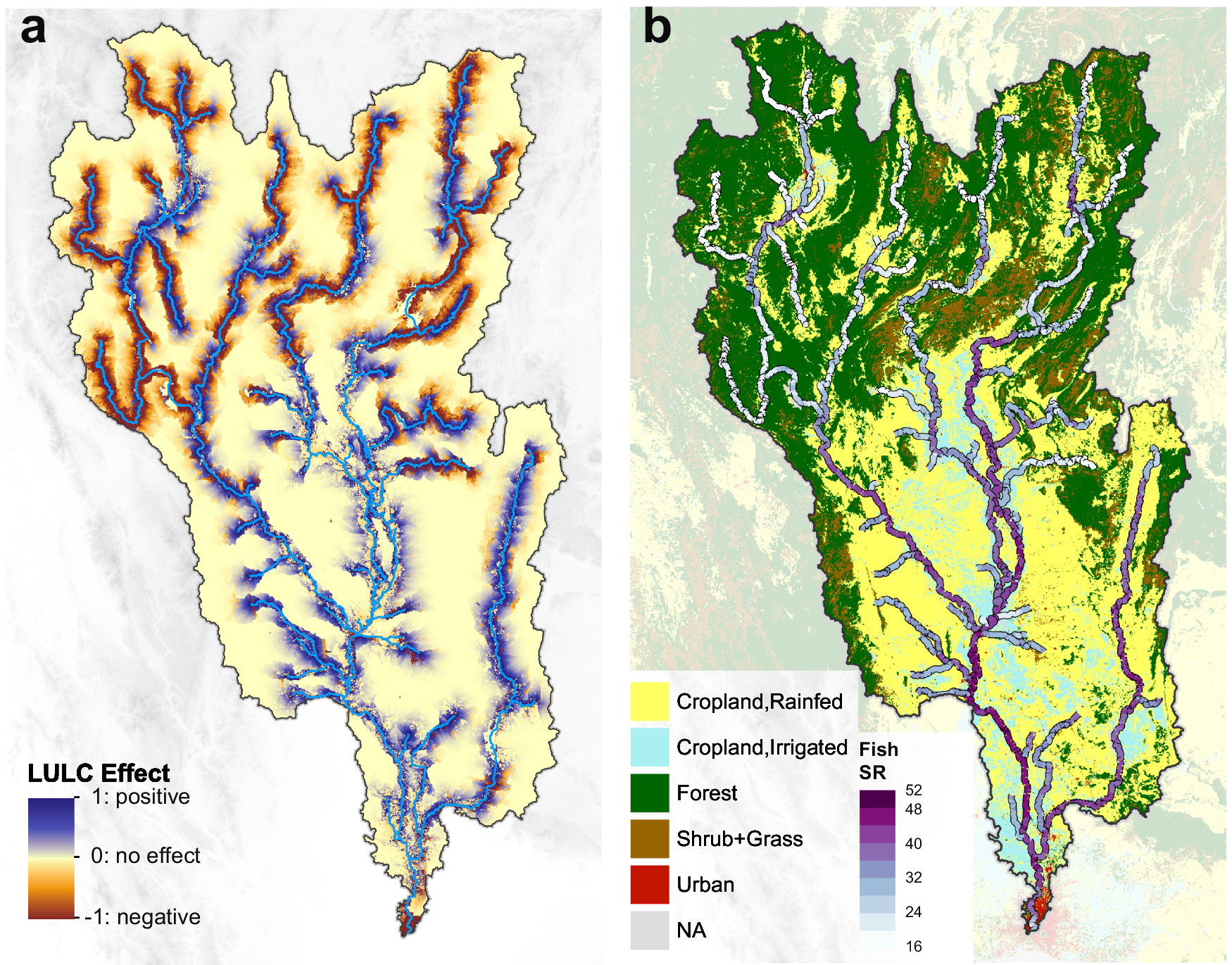 Fig. 3: Maps of terrestrial LULC effects and projected riverine fish diversity pattern in the Chao Phraya catchment.