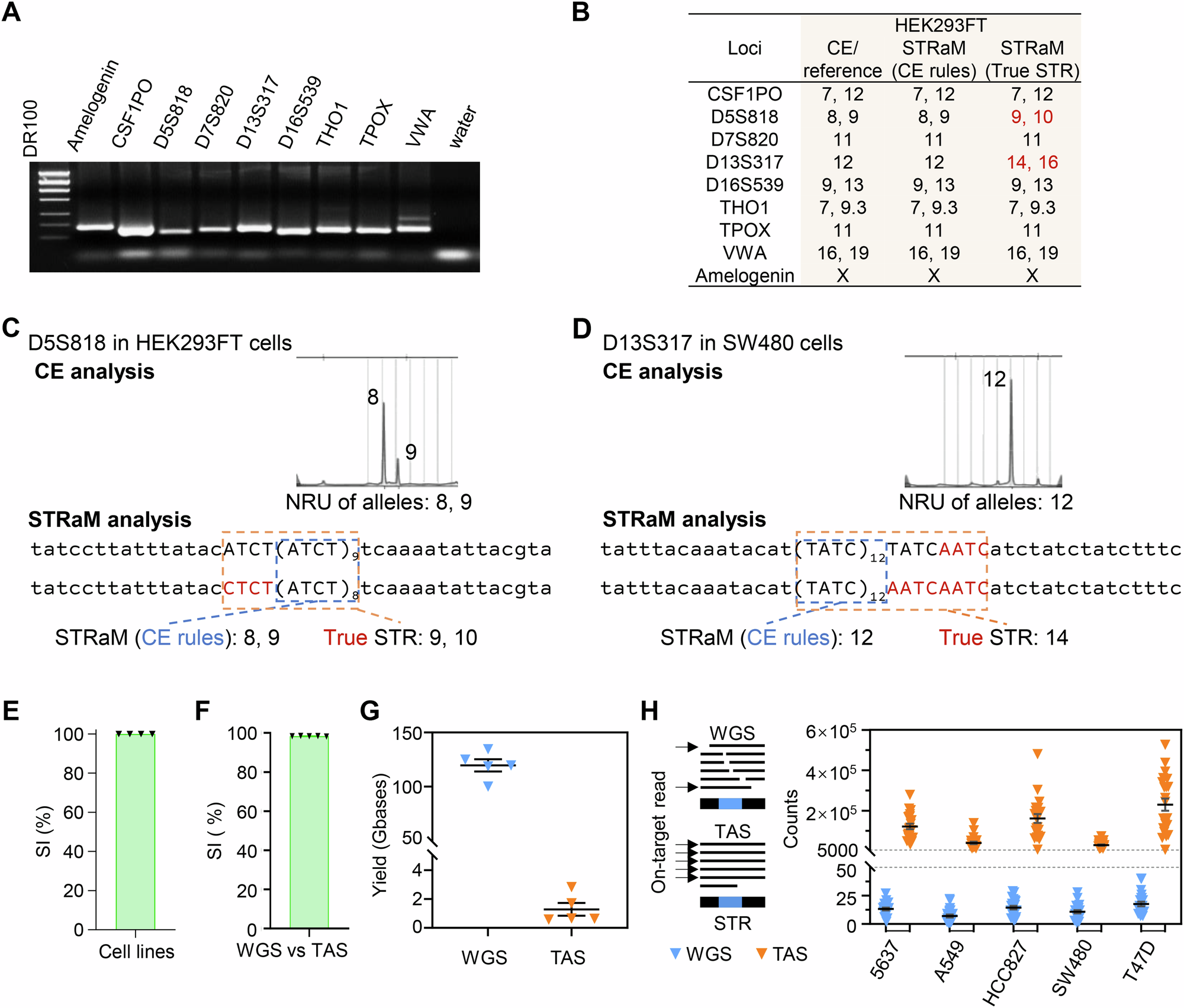 Fig. 6: STRaM is a targeted STR profiling method compared with CE and WGS.