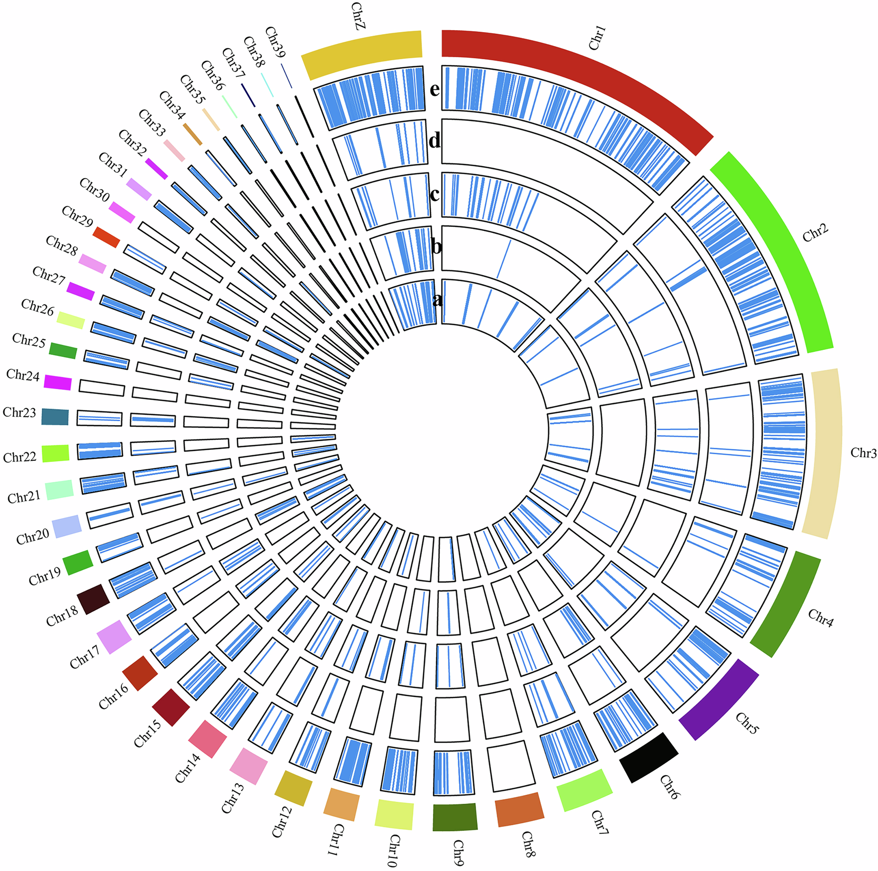 Fig. 4: Distribution of breed-specific related SNPs at the chromosome level.