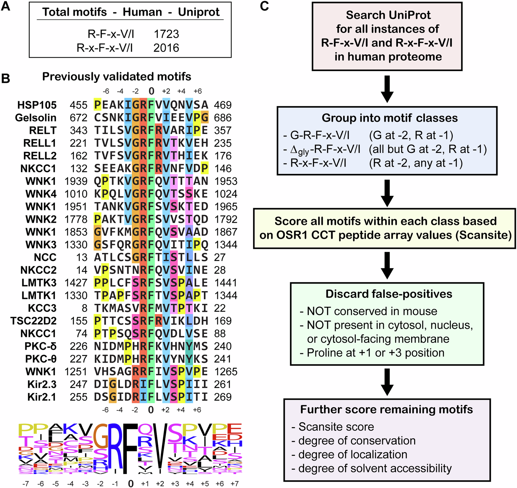Fig. 2: Summary of protein interaction prediction process.