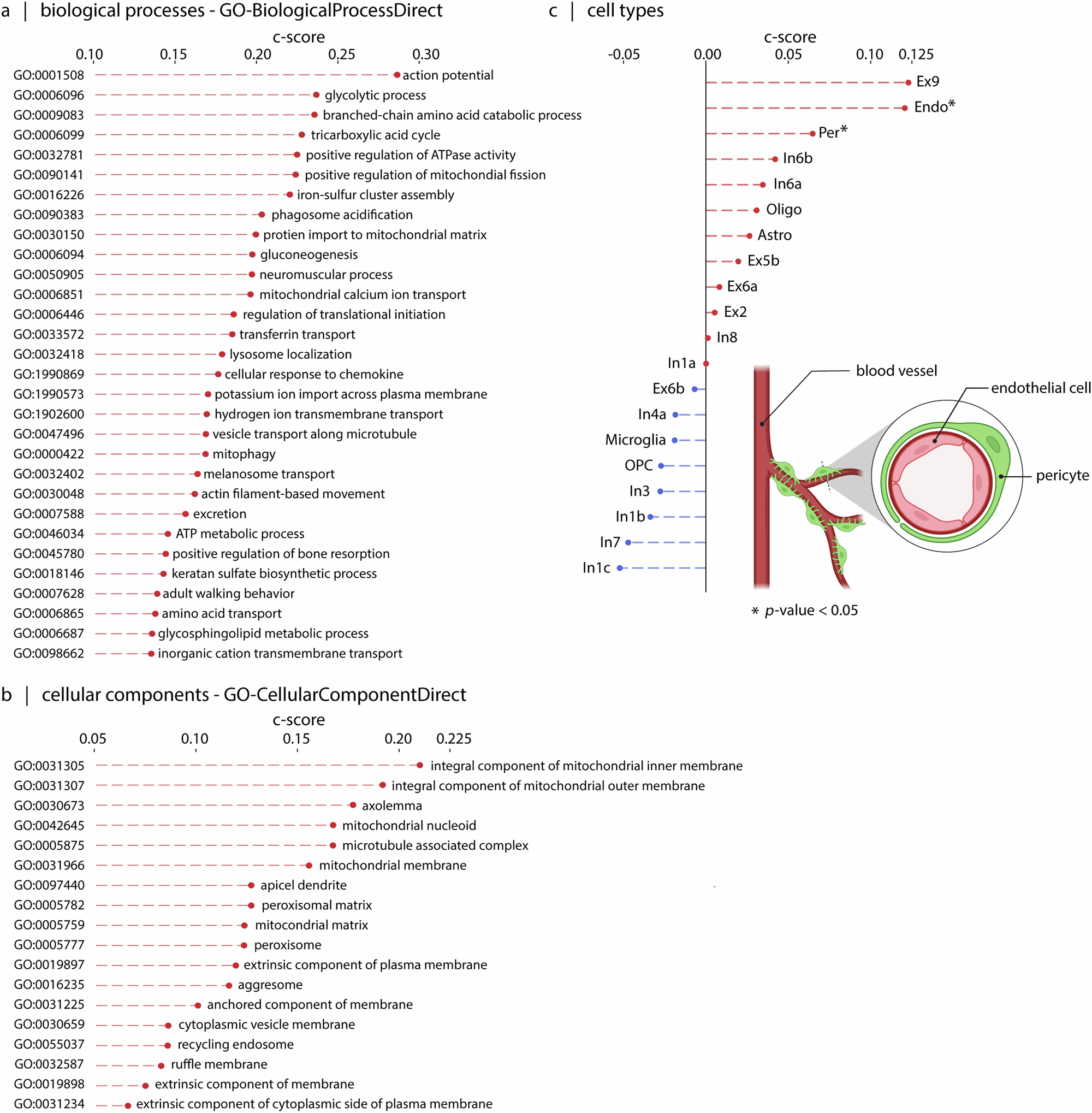 Fig. 4: Enrichment analyses of the genes associated with ALS epicenter map.