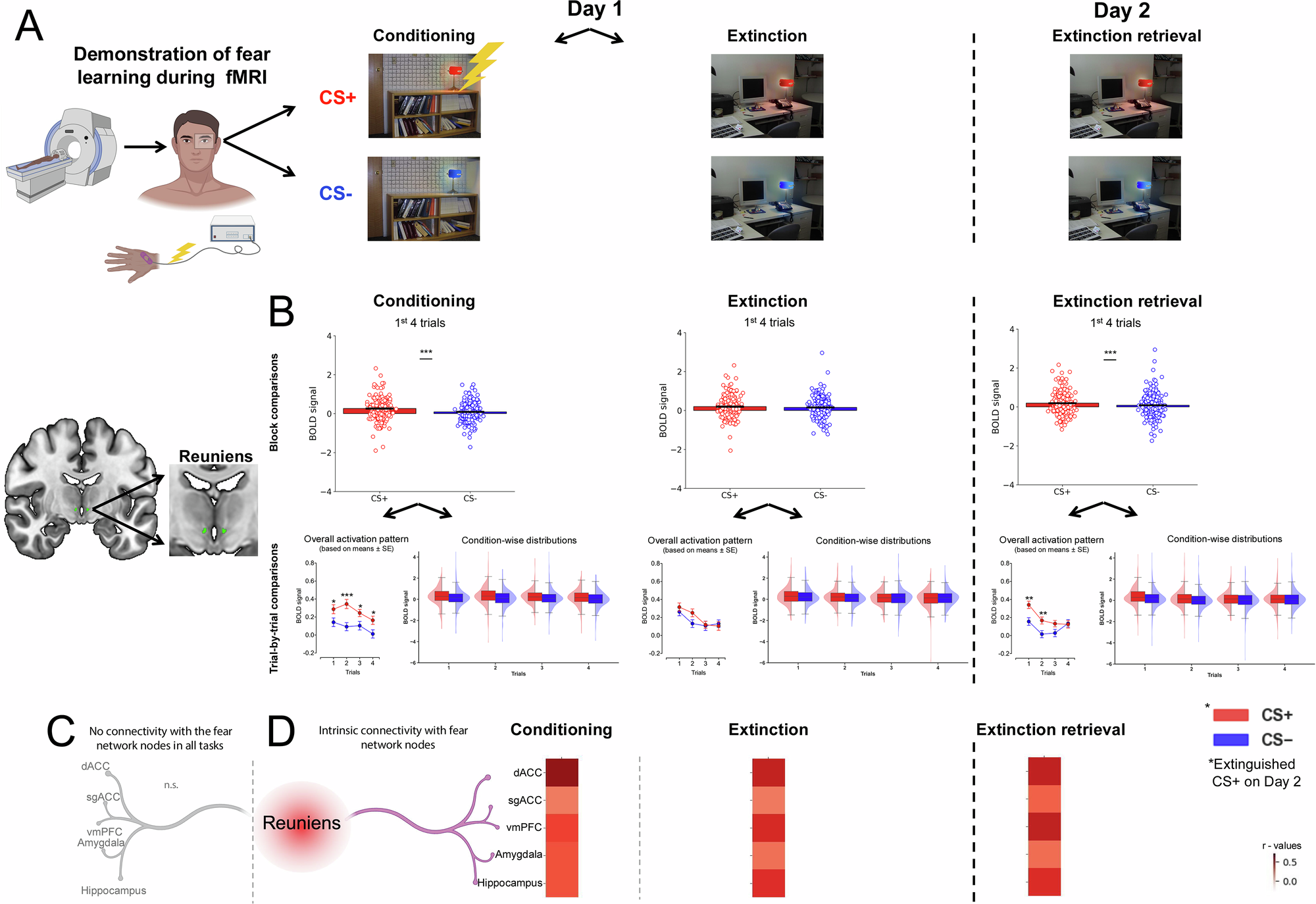 Associative coding of conditioned fear in the thalamic nucleus 