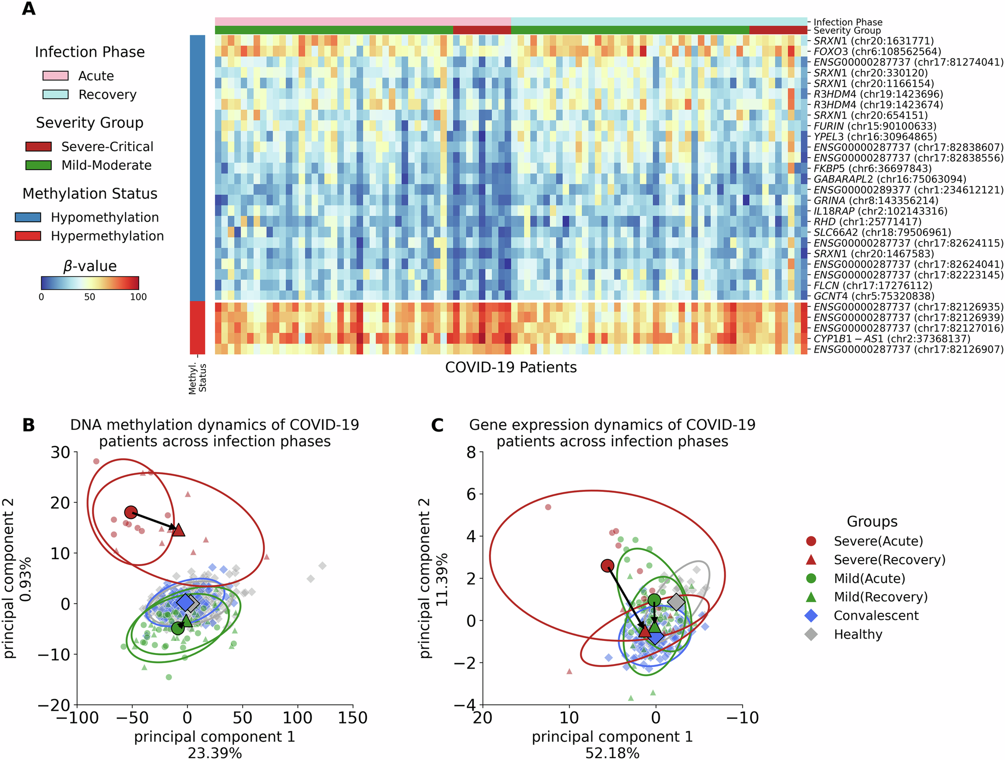 Fig. 3: Multiomic Landscape of COVID-19 Recovery in Mild-Moderate and Severe-Critical Groups.
