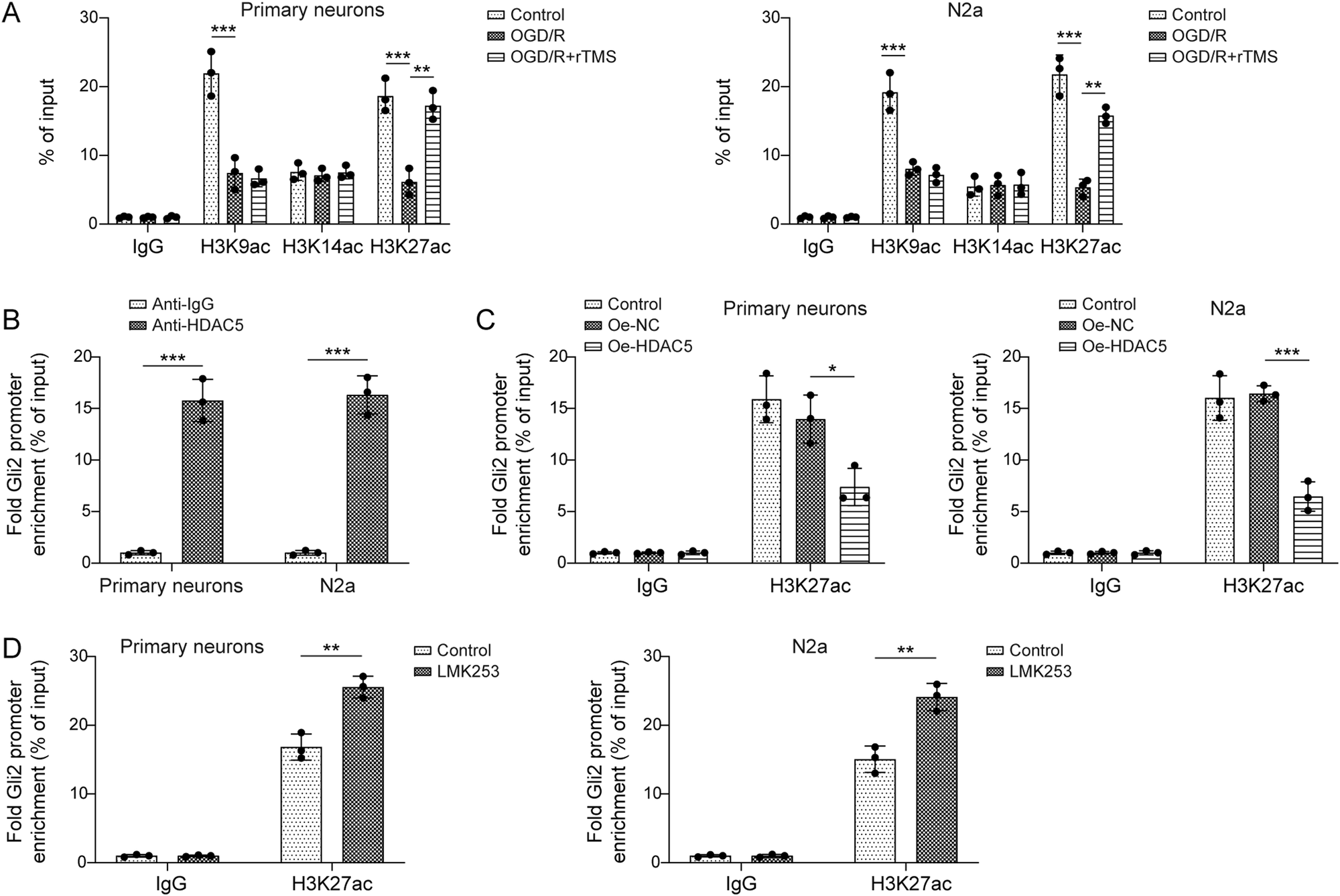 Fig. 6: HDAC5 inhibited H3K27ac modification of the Gli2 promoter region in neurons.