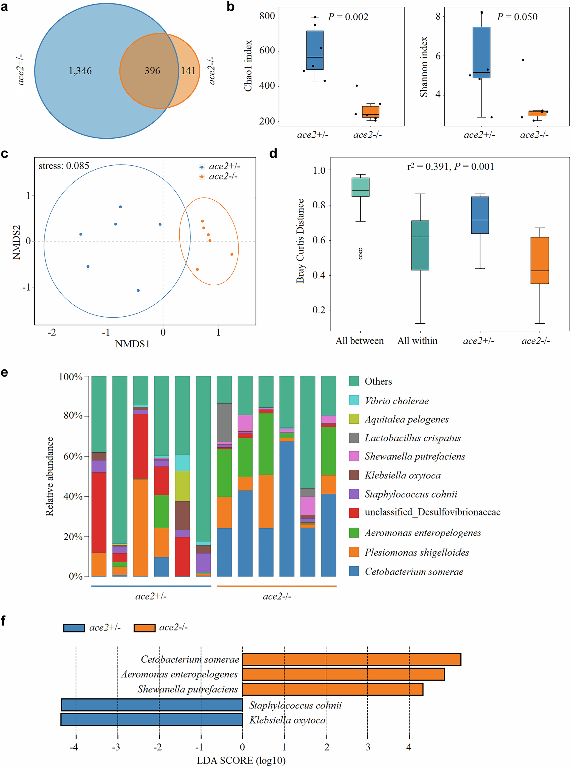 Fig. 3: Disruption of Ace2 in zebrafish significantly decreased intestinal microbial diversity and altered intestinal community composition.
