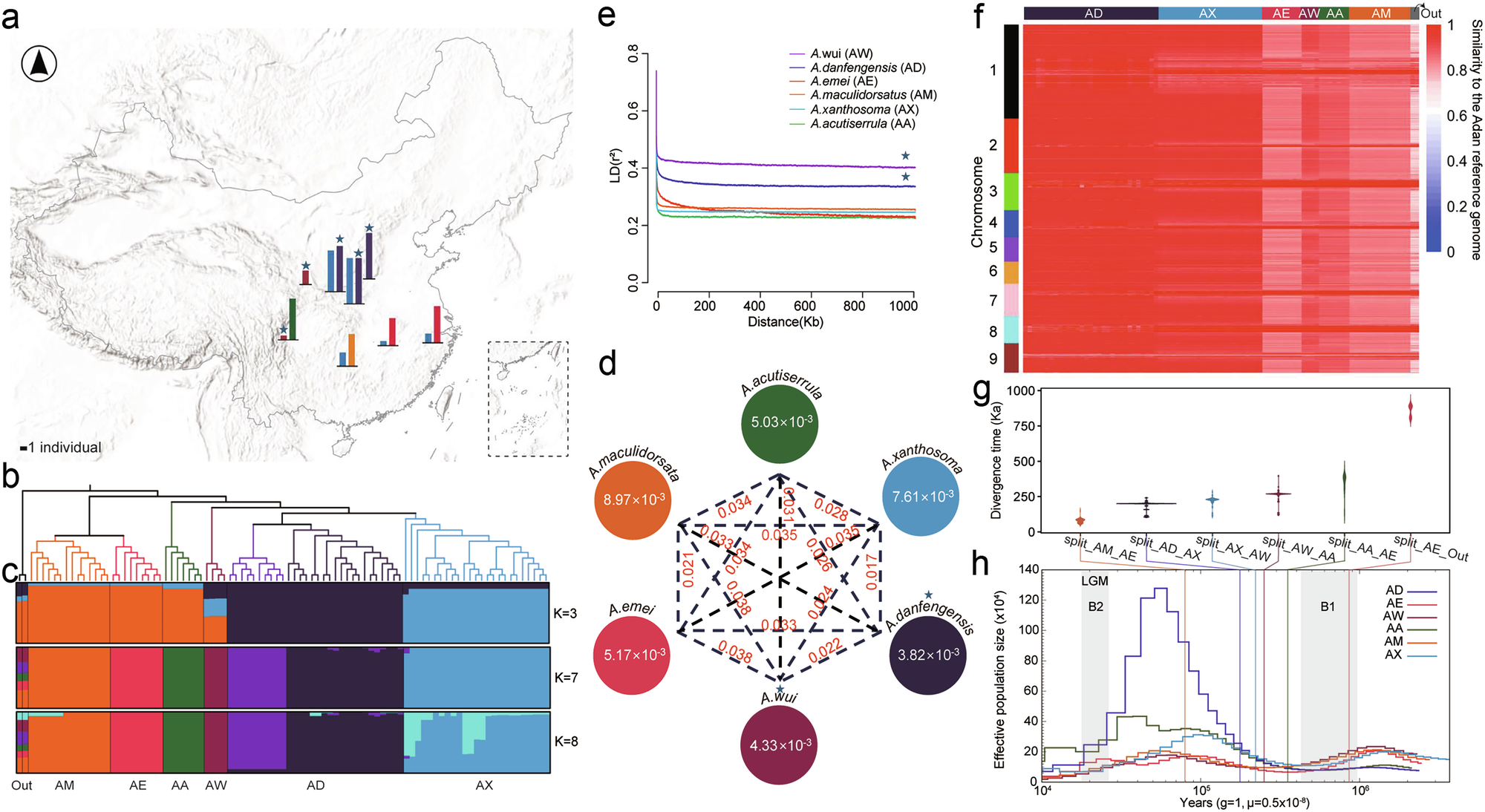 Fig. 2: Population structure, phylogeny, and demographic history of Analcellicampa.