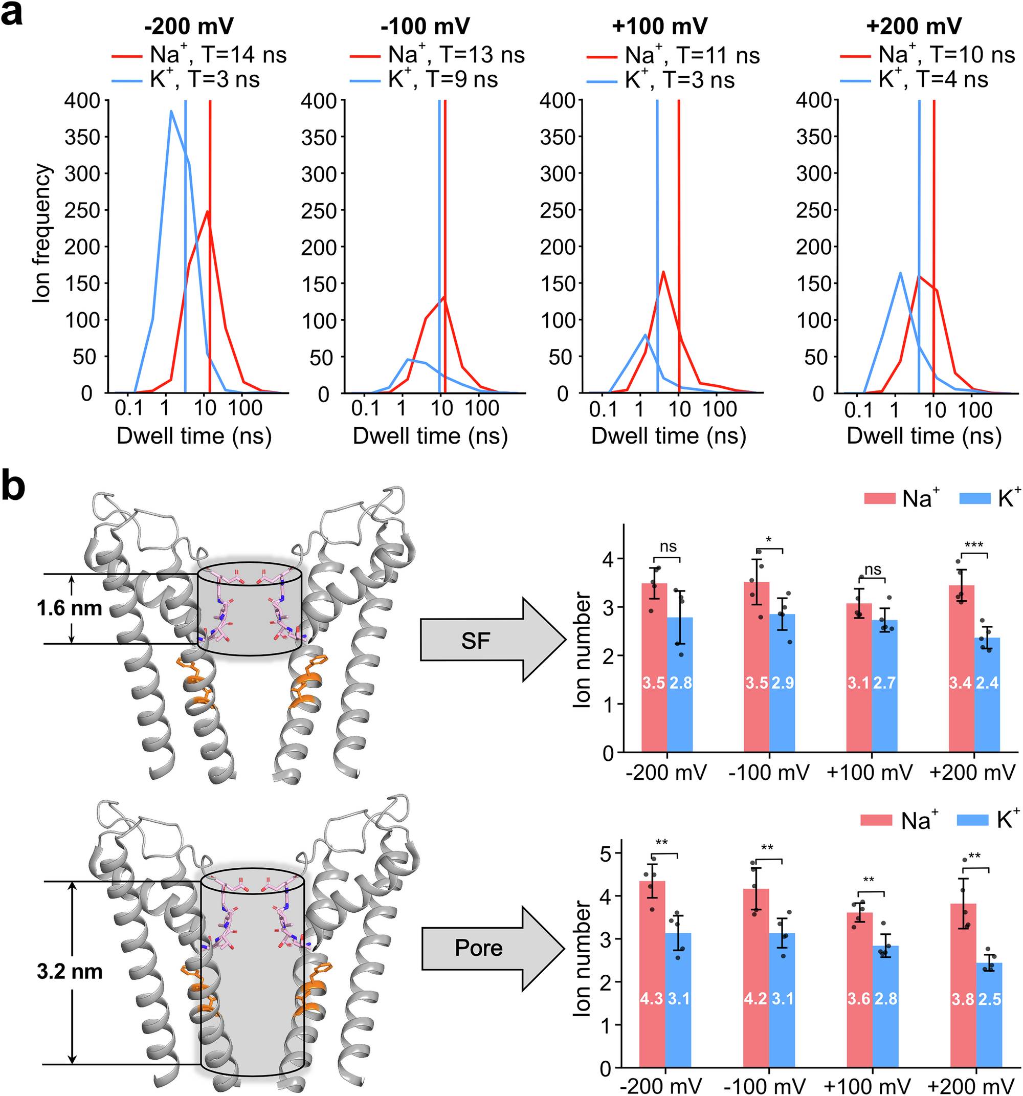 Fig. 6: Ion dwell time and density in the pore.