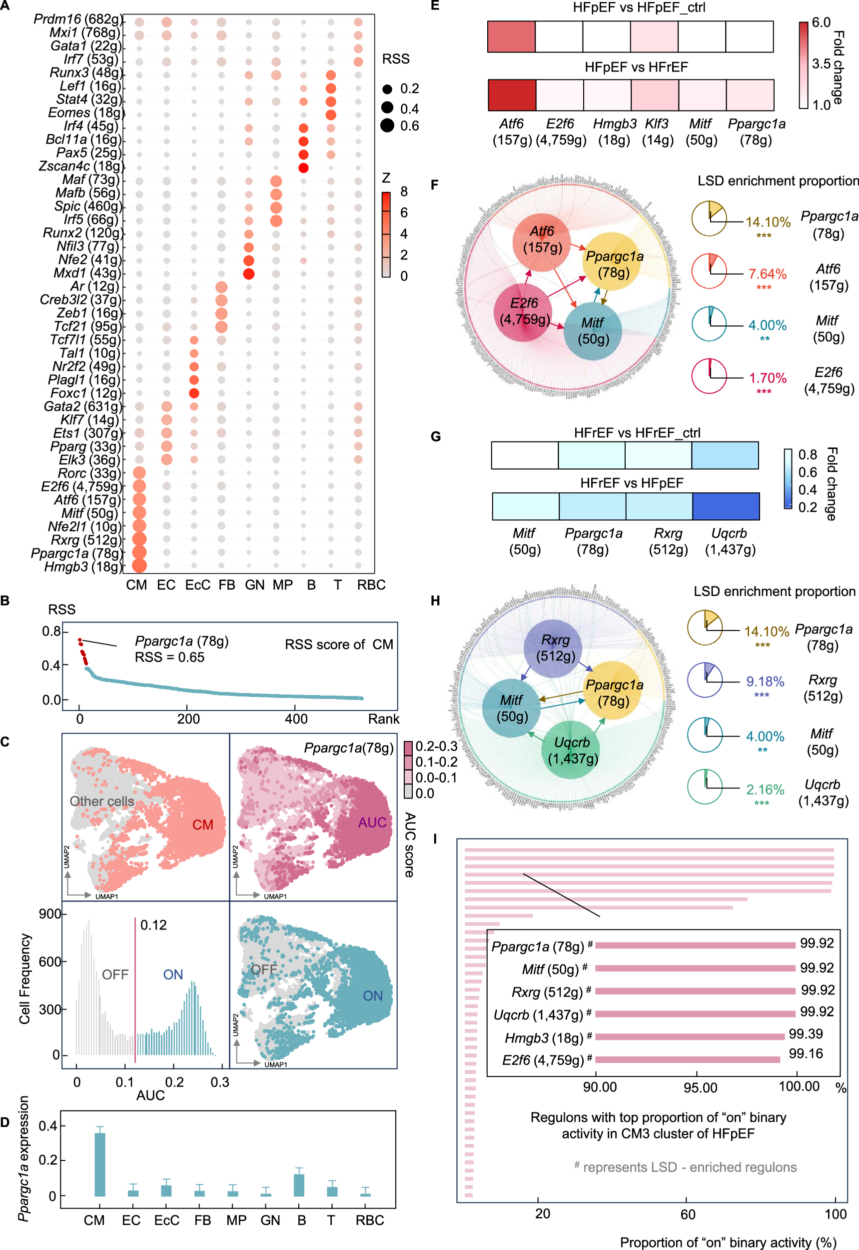 Fig. 3: Cell-type and subtype typical regulons (TRs).