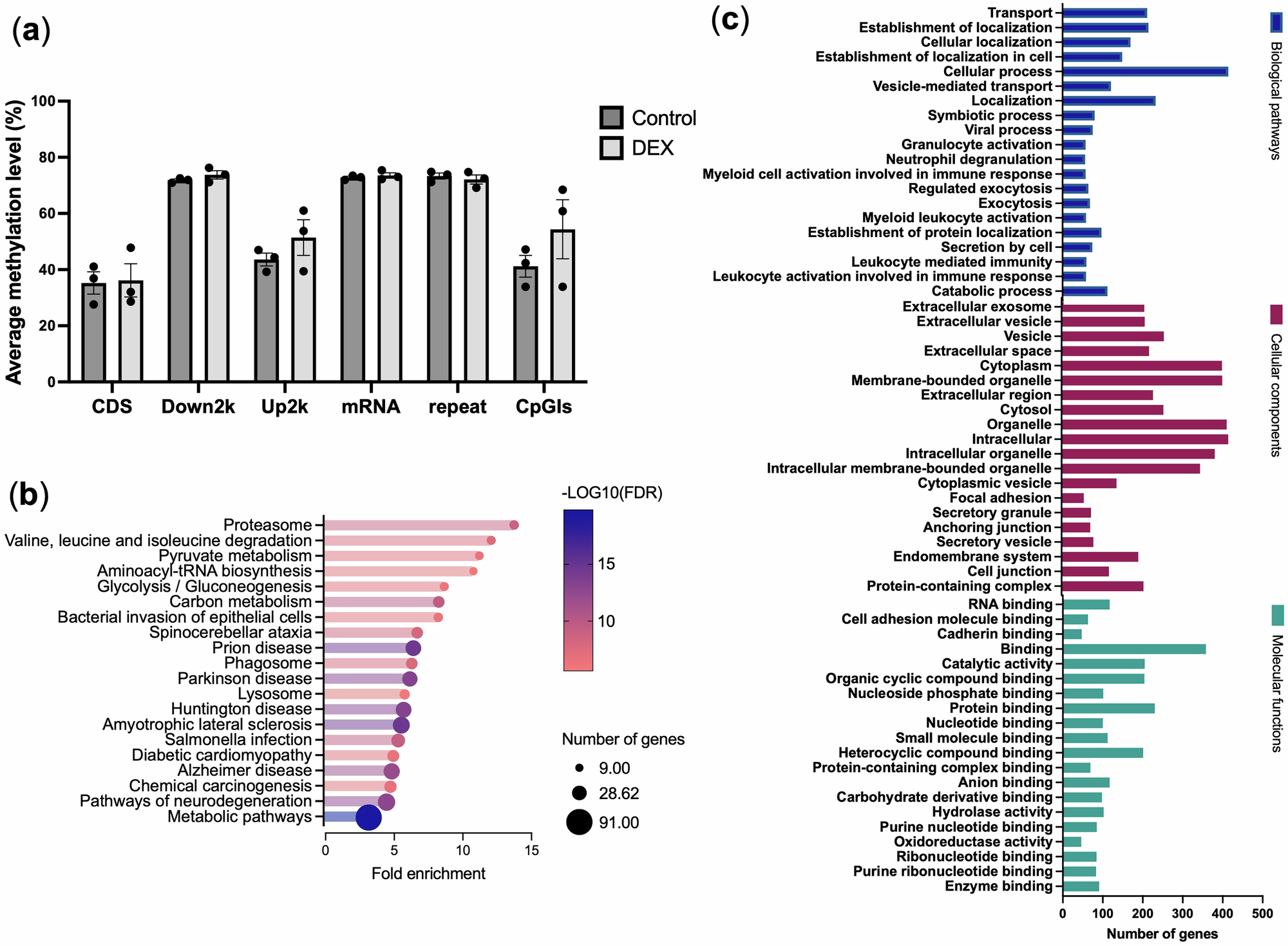 Fig. 6: DEX induced DNA methylation changes in hTM cells.