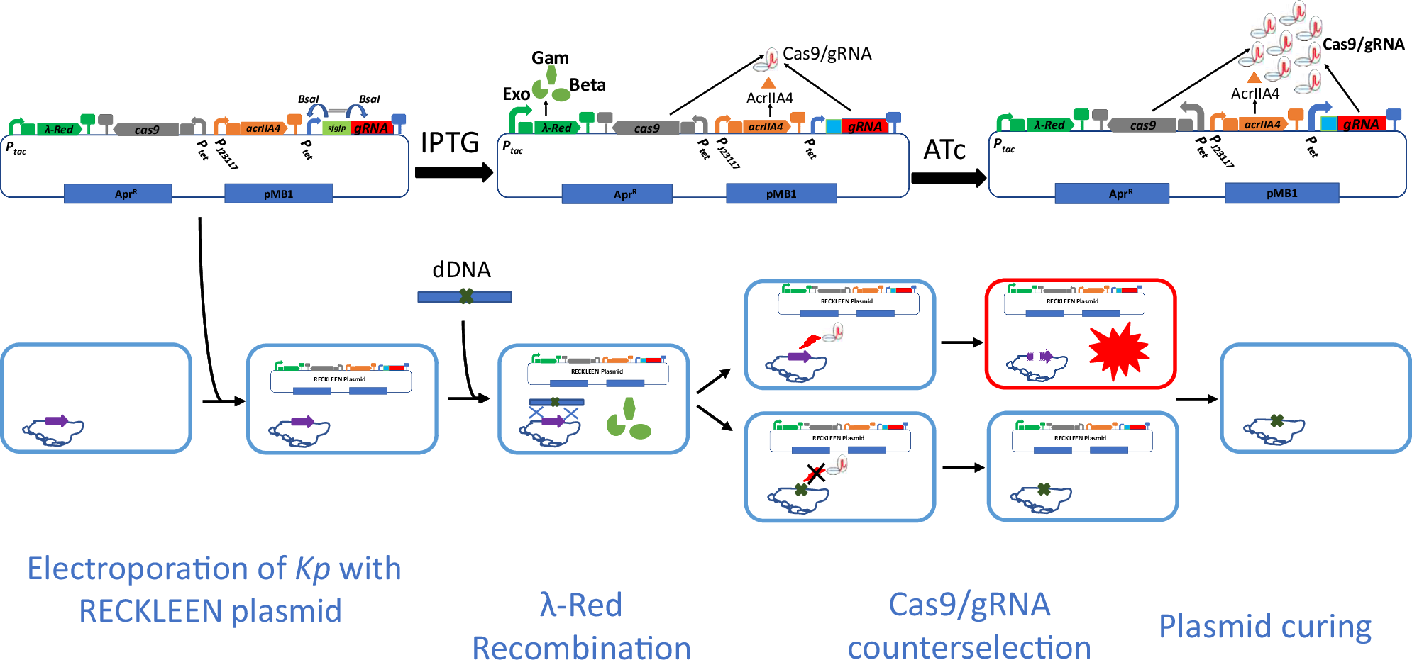 Fig. 2: Schematic overview of the RECKLEEN system’s workflow.