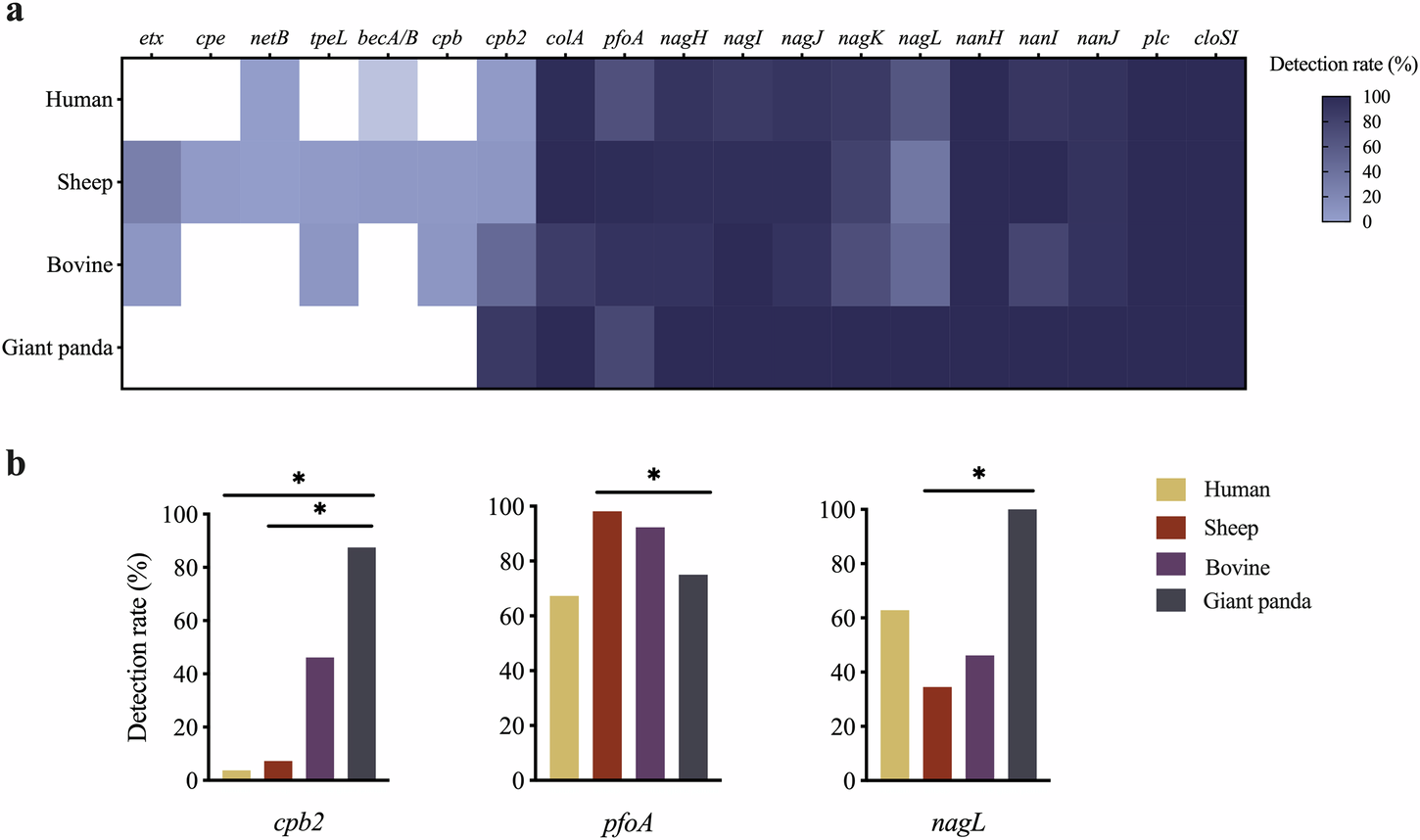 Fig. 8: Comparison of toxin genes in Clostridium perfringens from giant pandas with humans and herbivores.