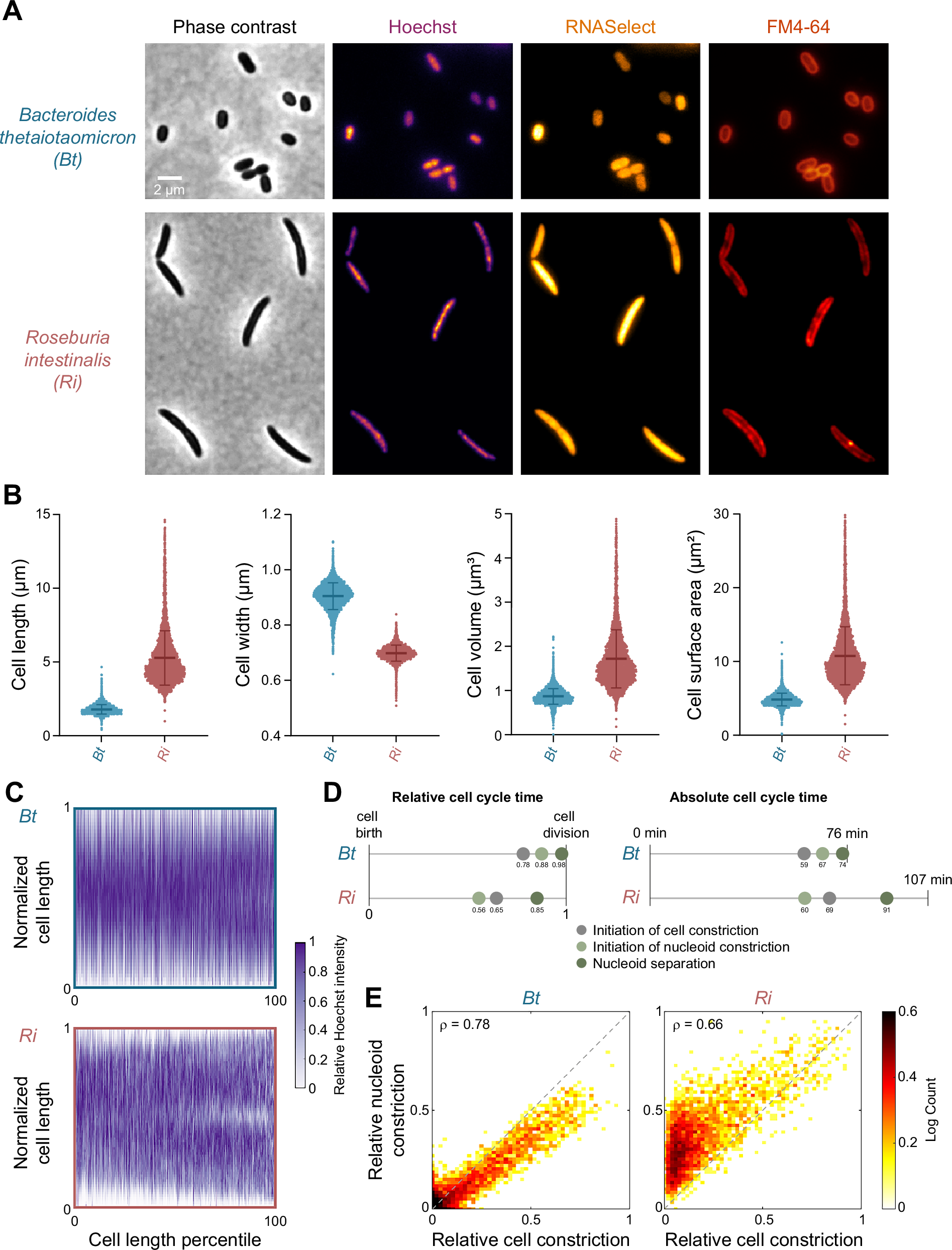 Kuru labs github (96) 사진
