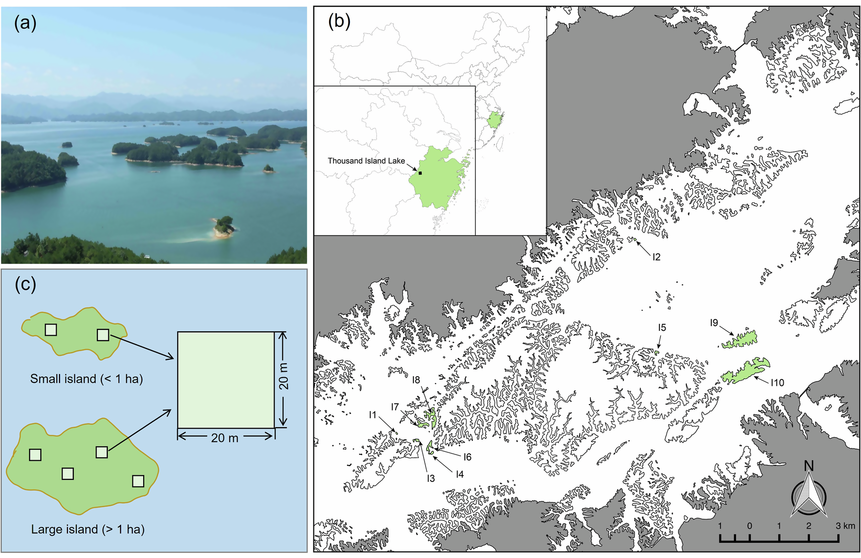 Fig. 1: Island map of the Thousand Island Lake (TIL), eastern China.