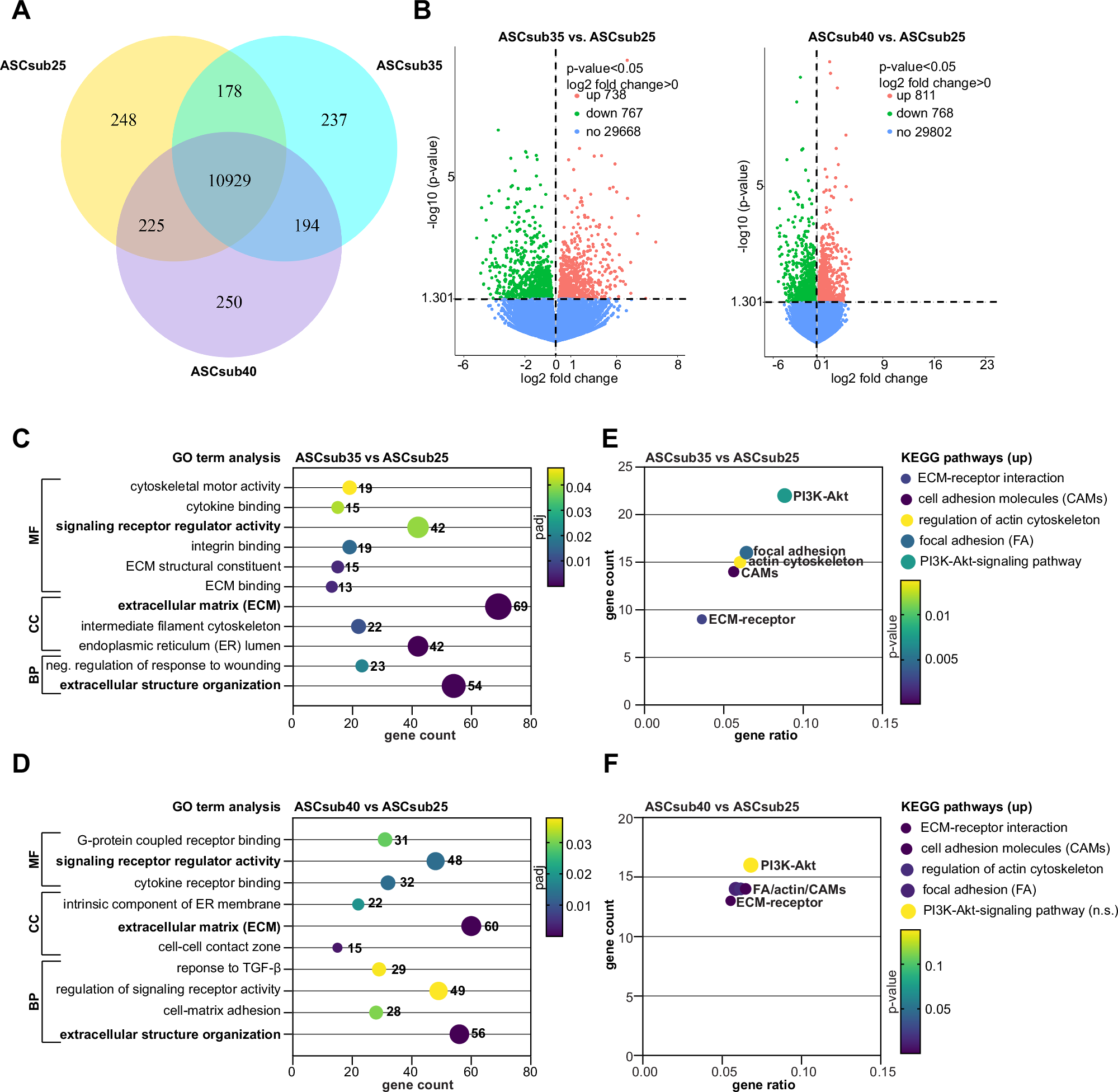 Fig. 1: Transcriptomic analysis of subcutaneous adipose tissue-derived mesenchymal stromal/stem cells (ASCsub).