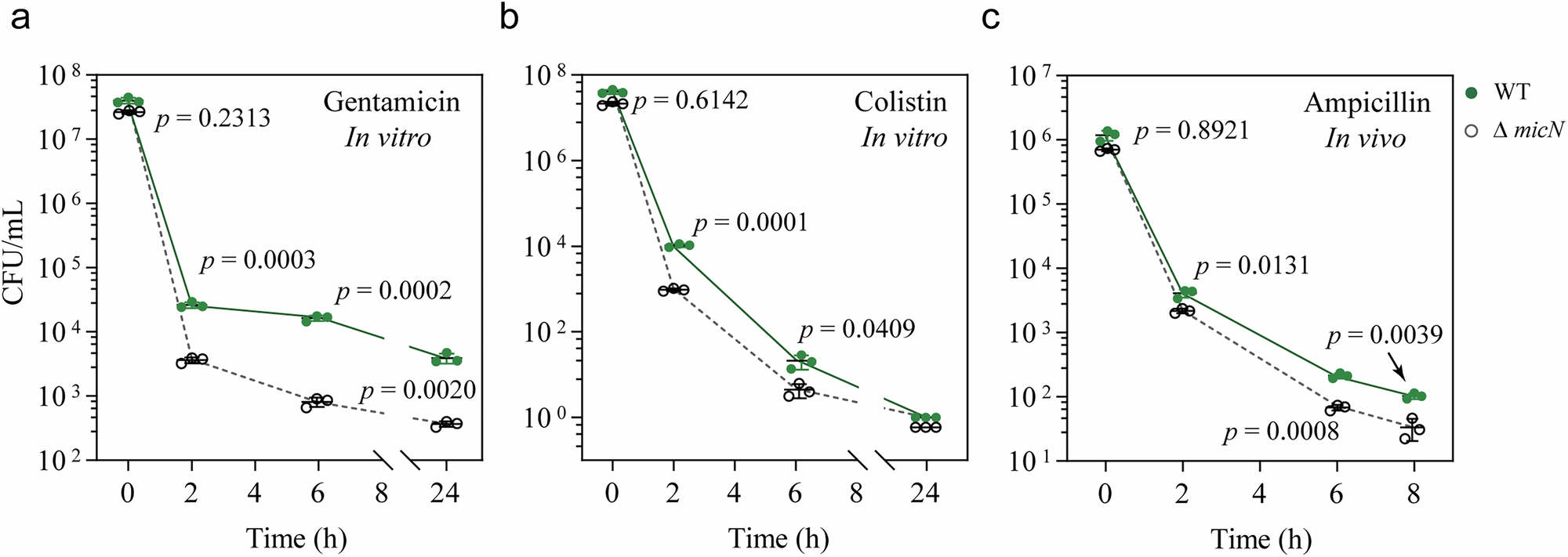 Fig. 2: MicN contributes to persister formation in Salmonella.