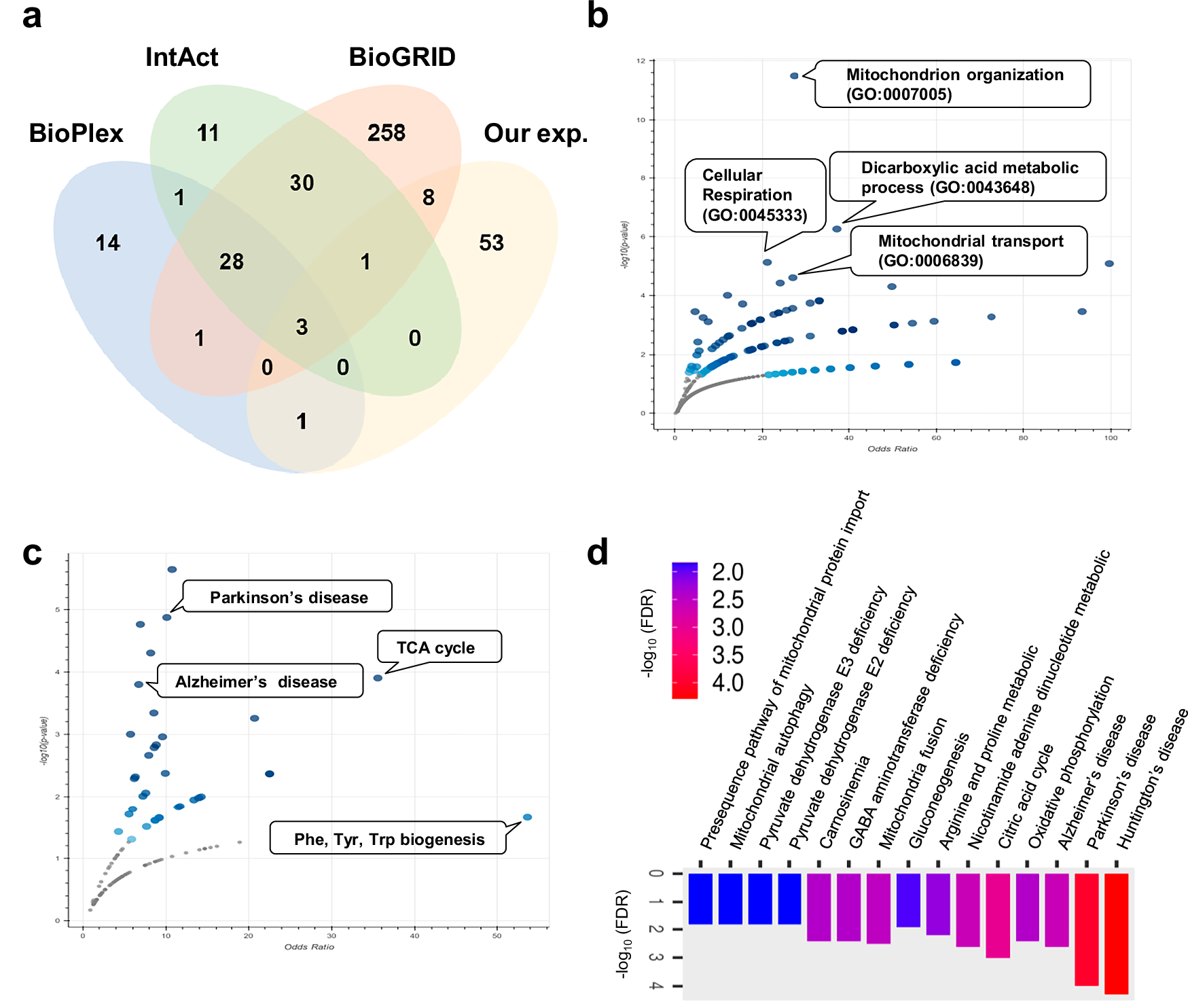 Fig. 3: Miro2 proximal protein functional annotations.