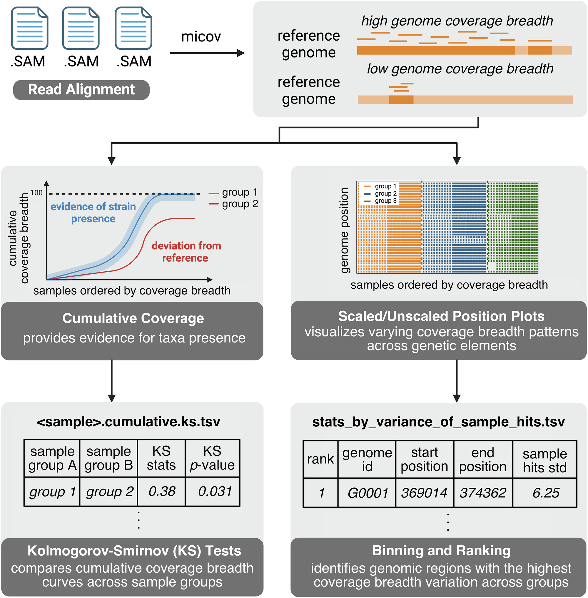 Fig. 1: Schematic of the micov workflow.