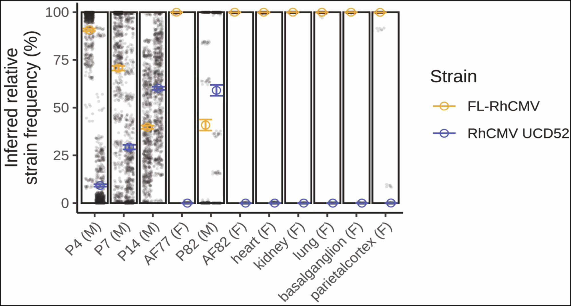 Fig. 5: Inferred RhCMV strain frequency in animal 001-101 with FL-RhCMV as mapping reference.