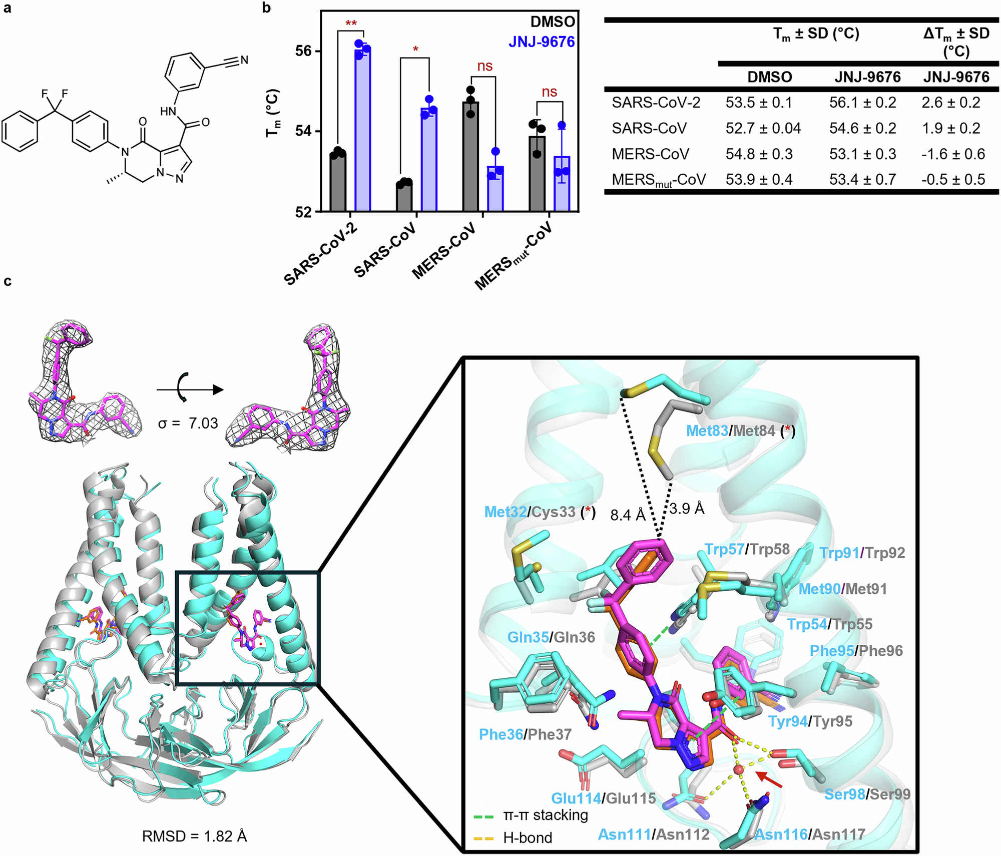 Fig. 3: JNJ-9676 targets SARS-CoV M protein.