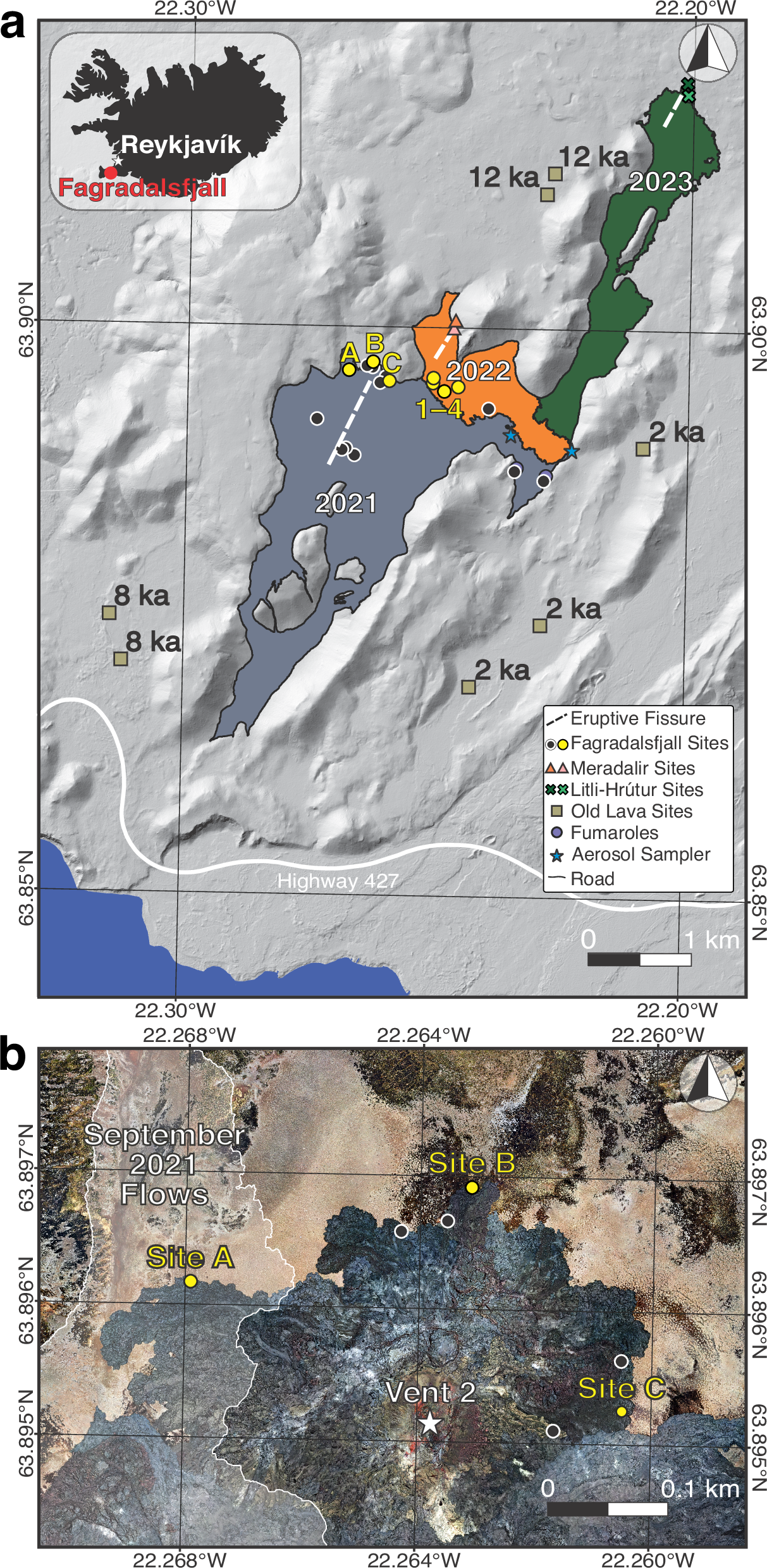 溶岩の上の生命:微生物が新しい生息地をどのように開拓するか(Life on lava: How microbes colonize new habitats)