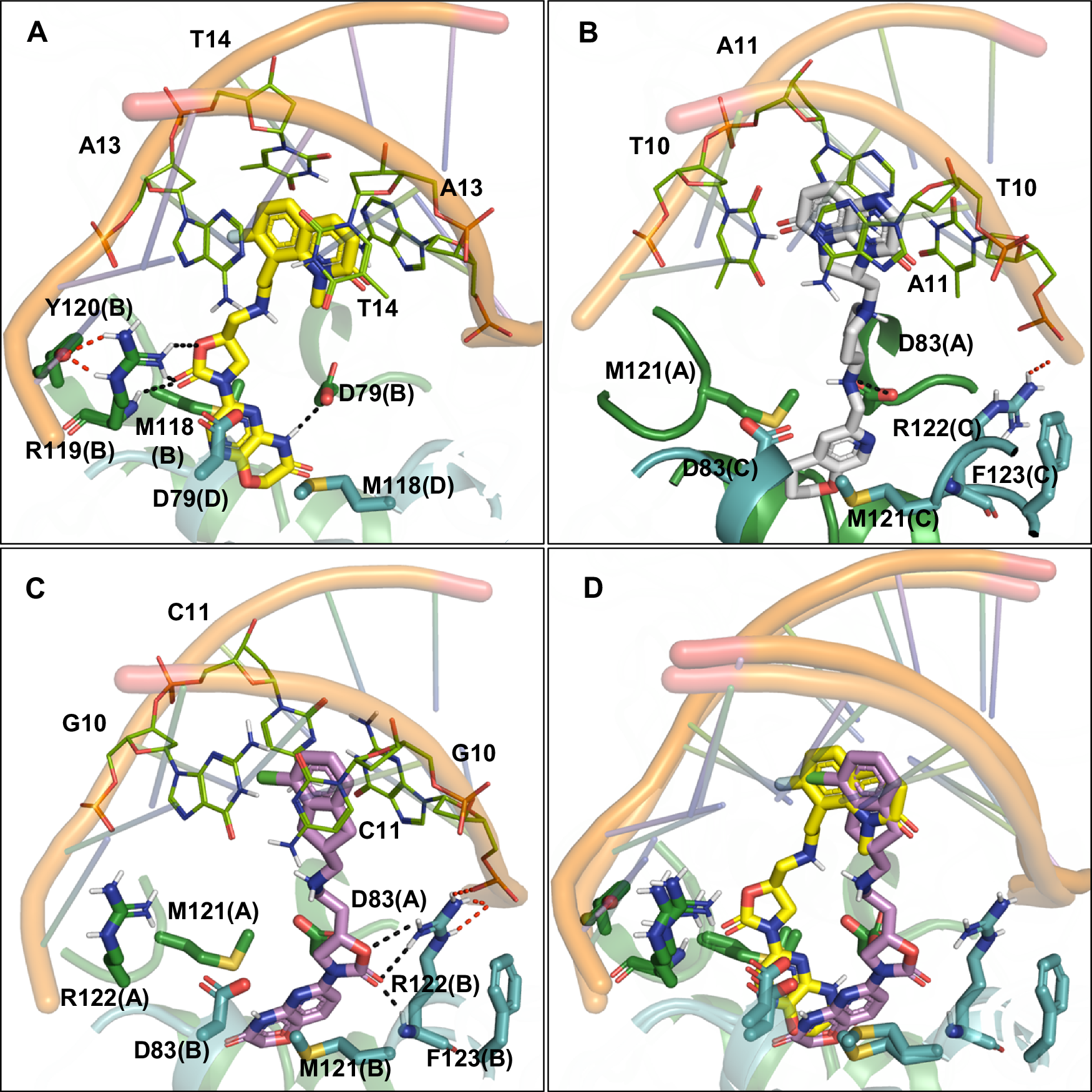 Fig. 5: Structural superposition of NBTI bound cocrystal structures.