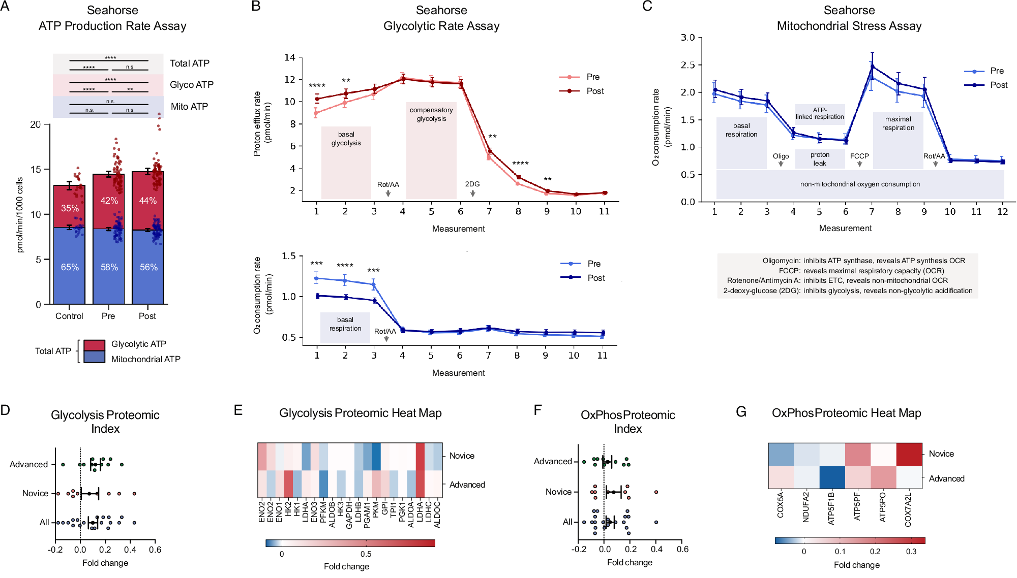 Fig. 4: Metabolic effects (n = 20 participants).