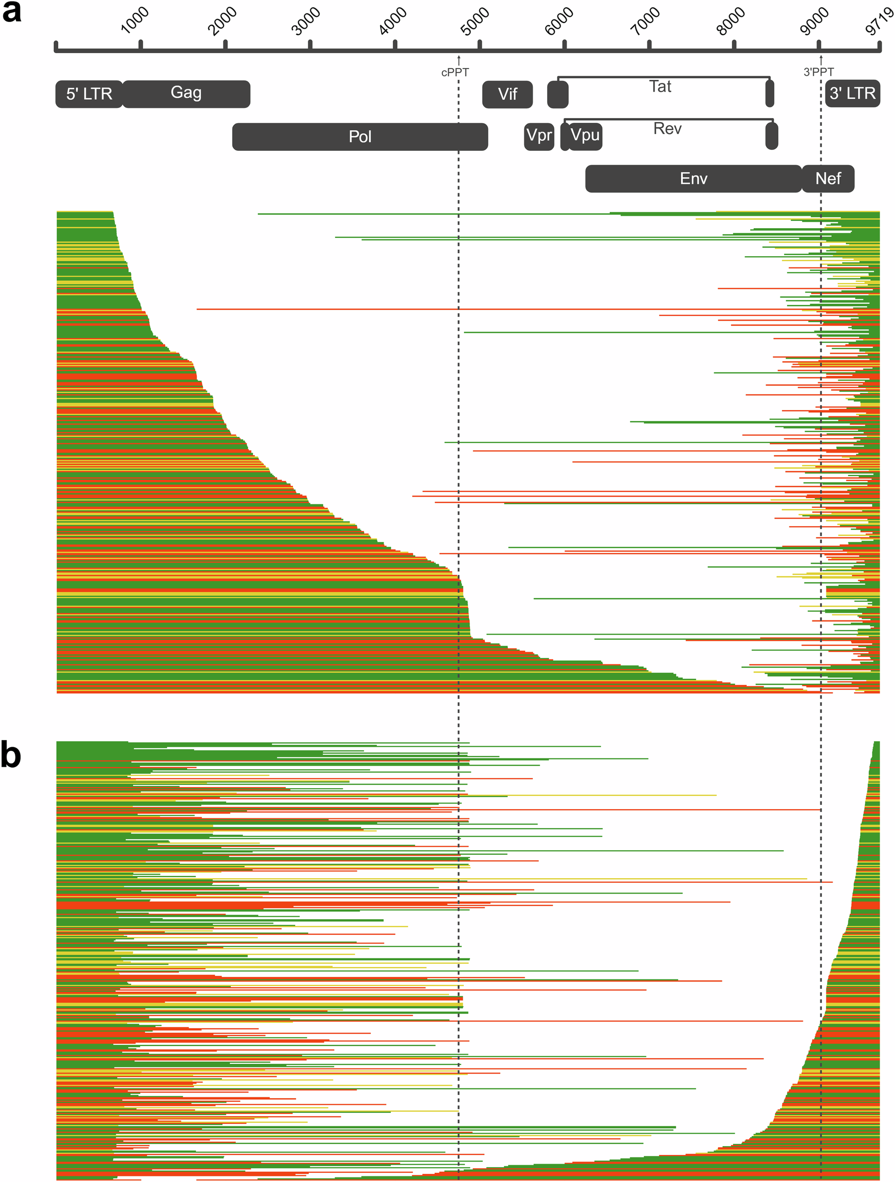 Fig. 3: Proviral sequences aligned to the HIV HXB2 (K03455) reference strain.