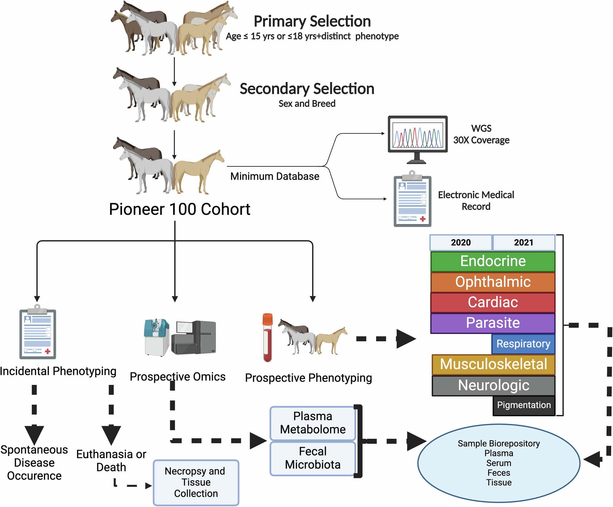 Fig. 1: Schematic overview of the Pioneer 100 Horse Health Cohort.