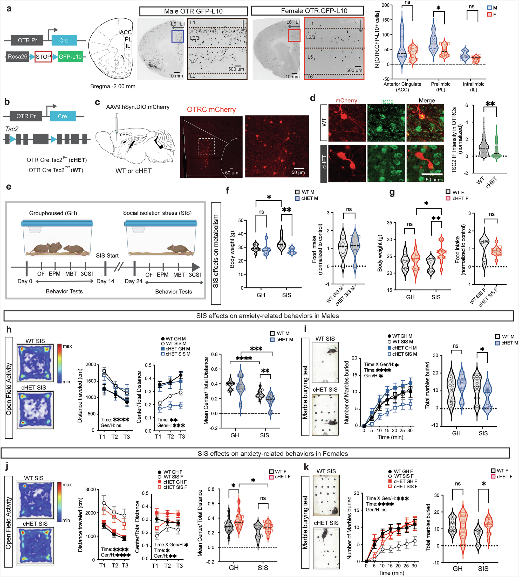 Spring of 2023 Dean's List | Clemson News, image size:2000x2226