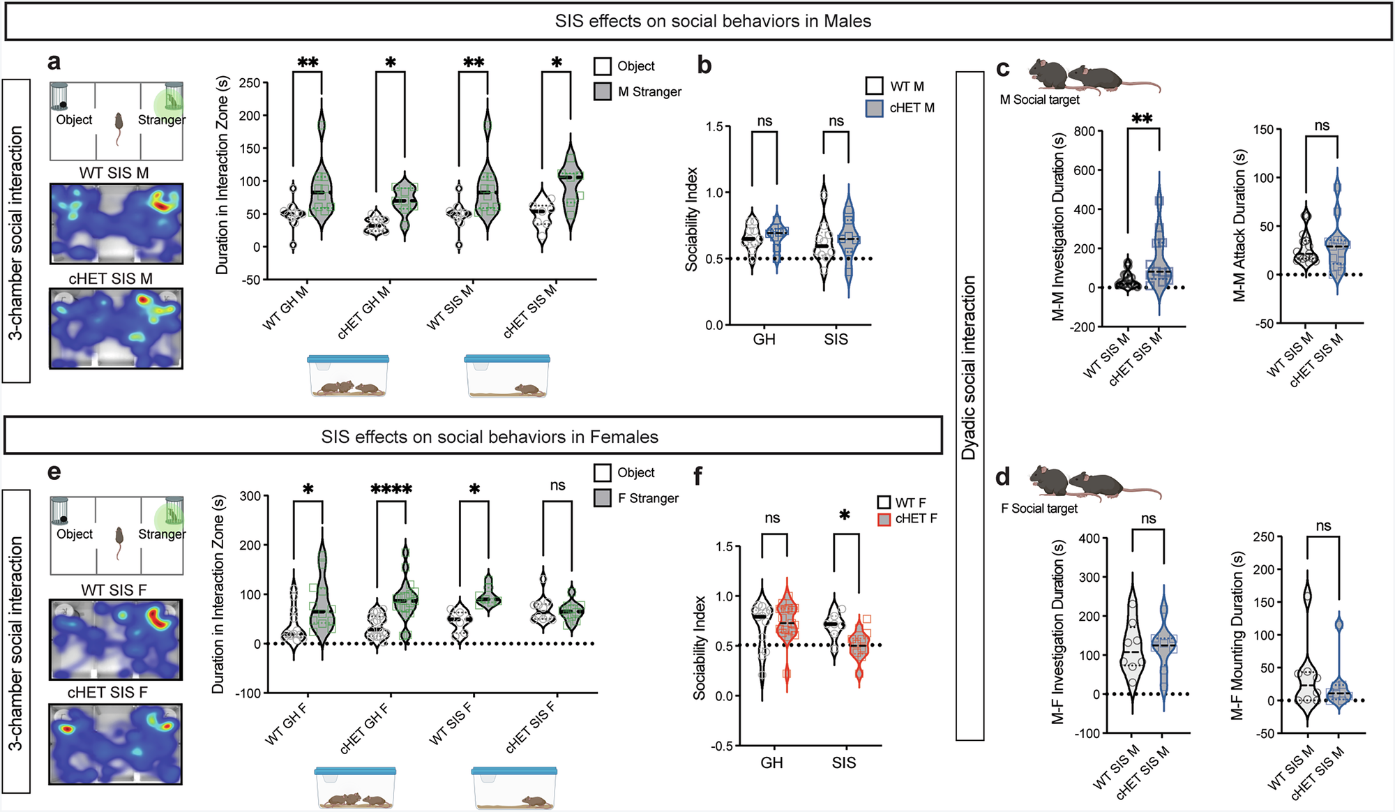 Fig. 2: Sex differences in social interaction of cHET mice.