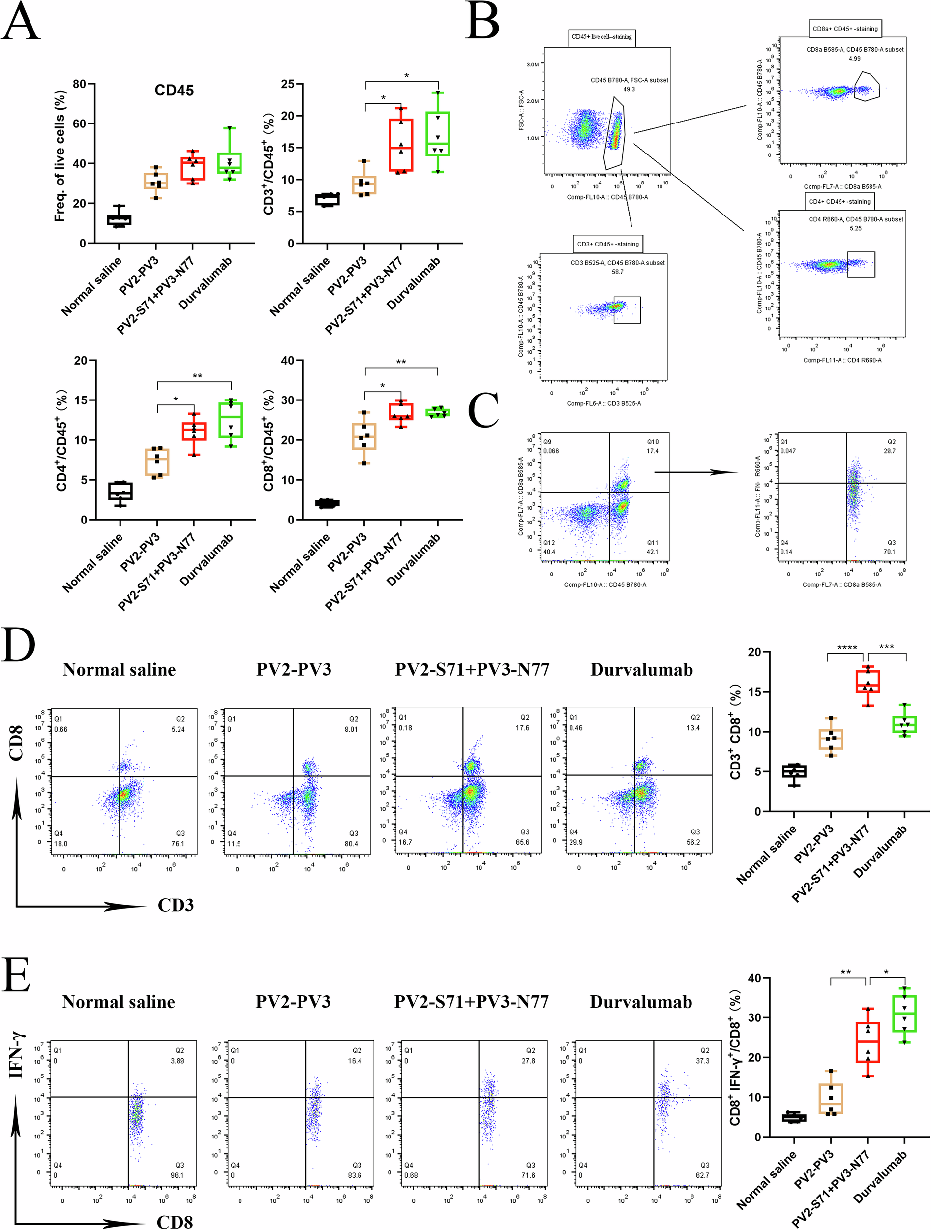 Fig. 6: Proliferation and activation of CD3+、CD4+ and CD8+ T cells infiltrating tumors.