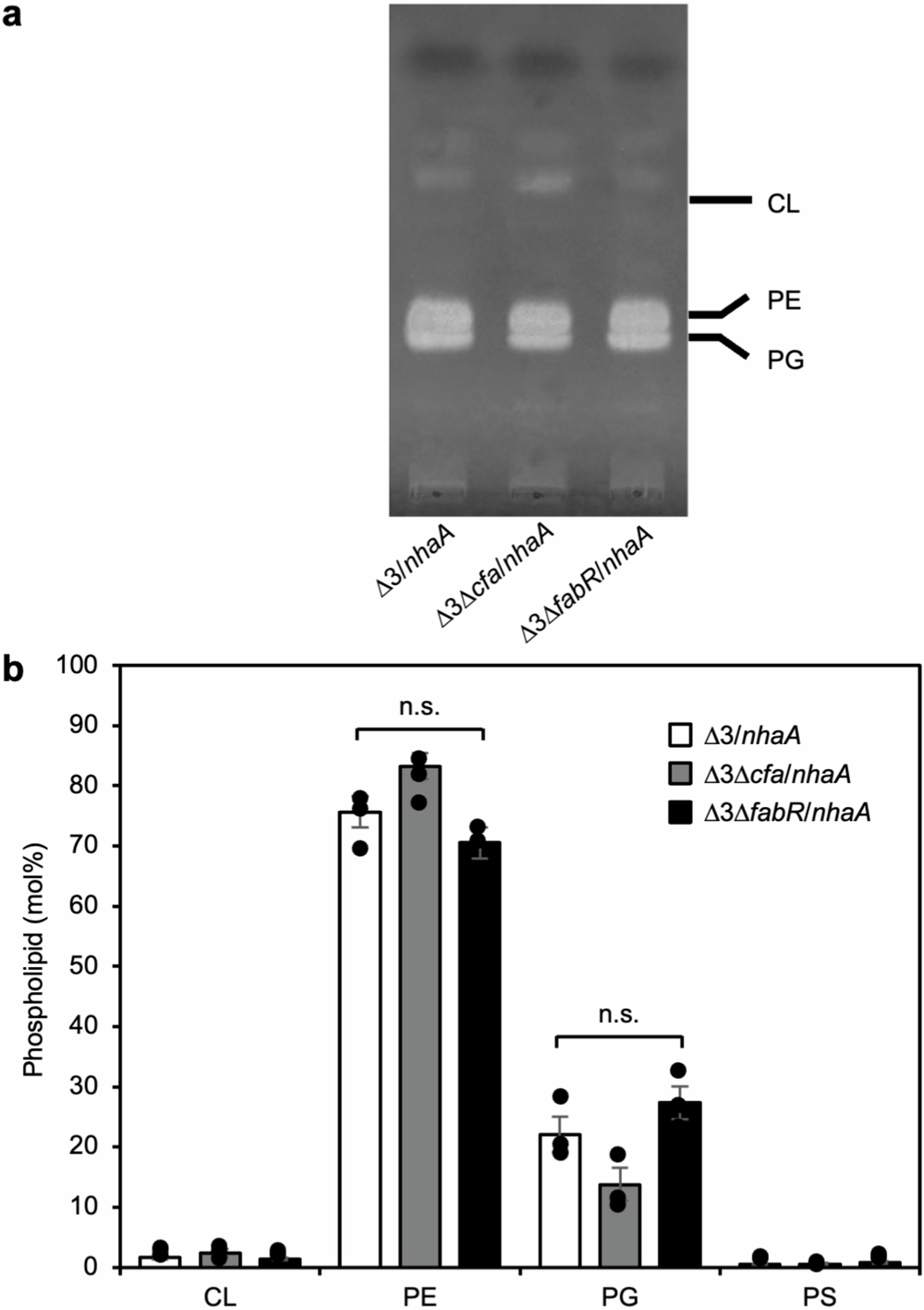 Fig. 4: Quantification of phospholipids in ∆3, ∆3∆cfa, and ∆3∆fabR.