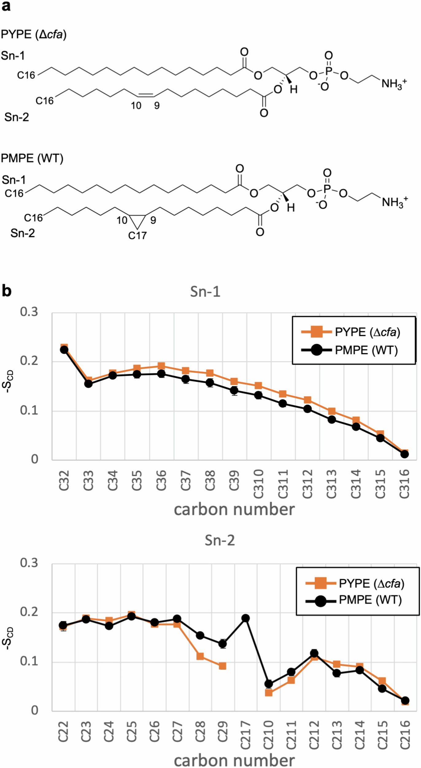 Fig. 8: Lipid tail order parameter (SCD) as a function of carbon number in the acyl chain.