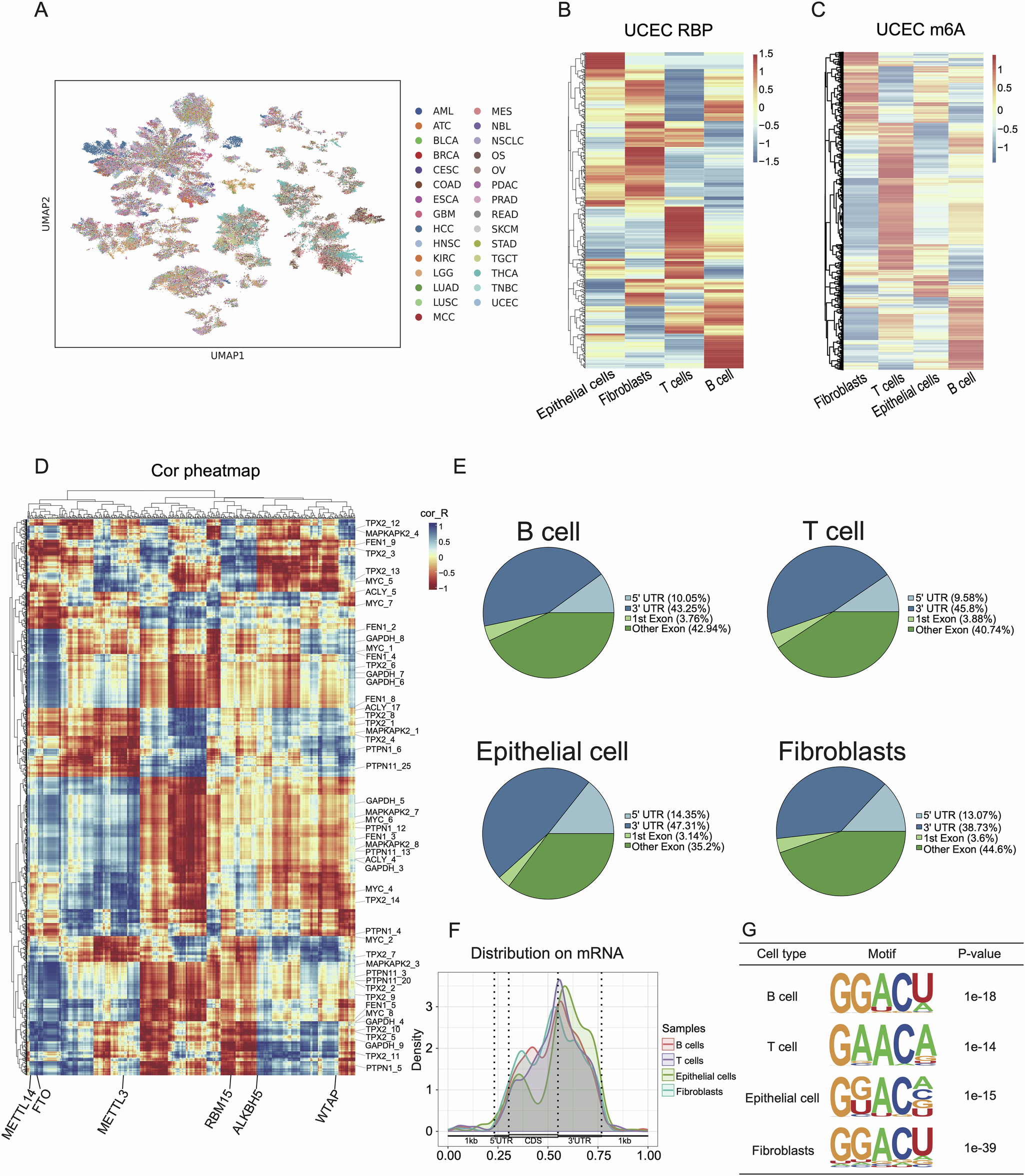 Fig. 2: Single-cell m6A landscape across multiple cancer types and cell populations.