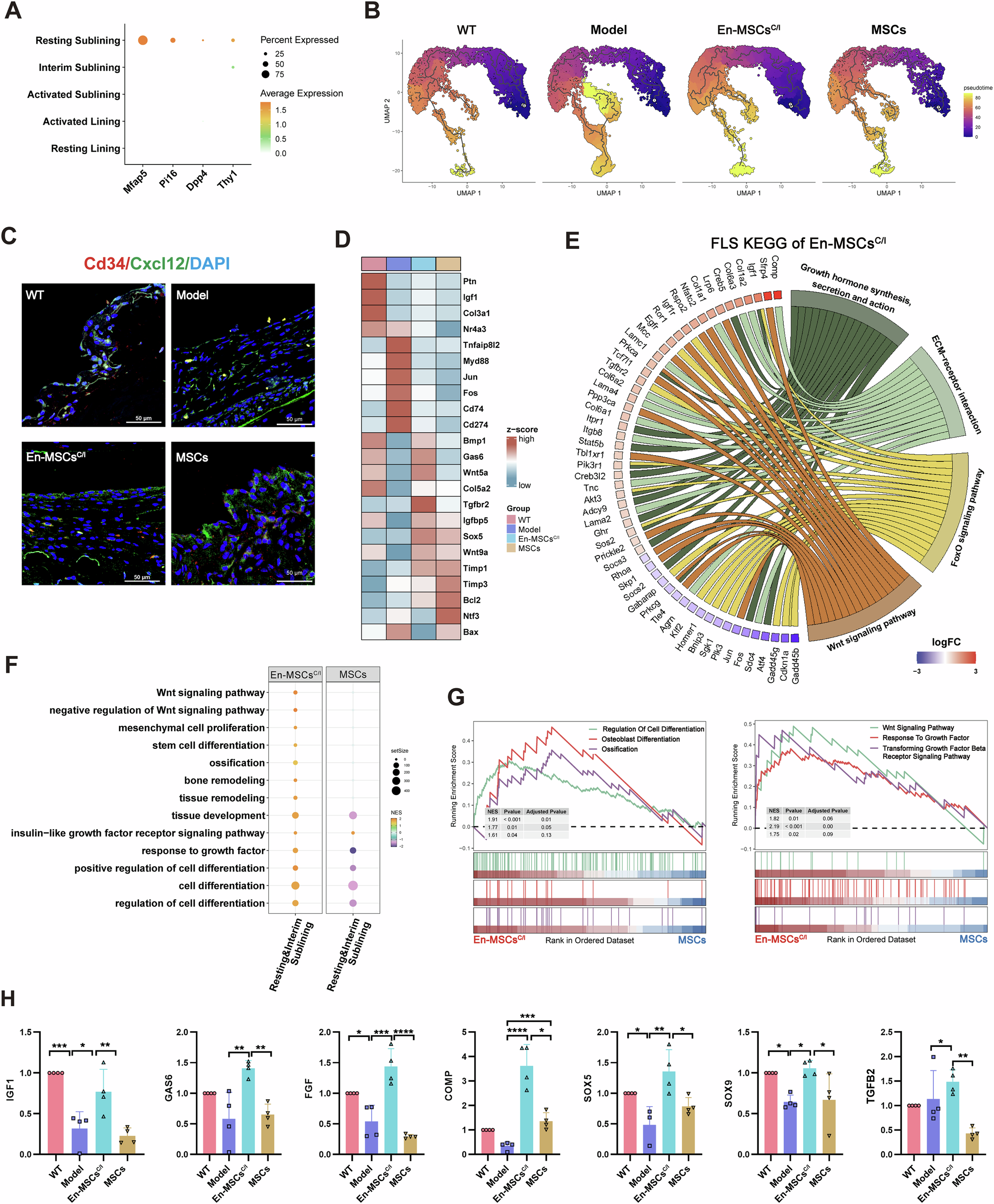 Fig. 4: En-MSCsC/I exhibited unique regulatory signatures for tissue regeneration.