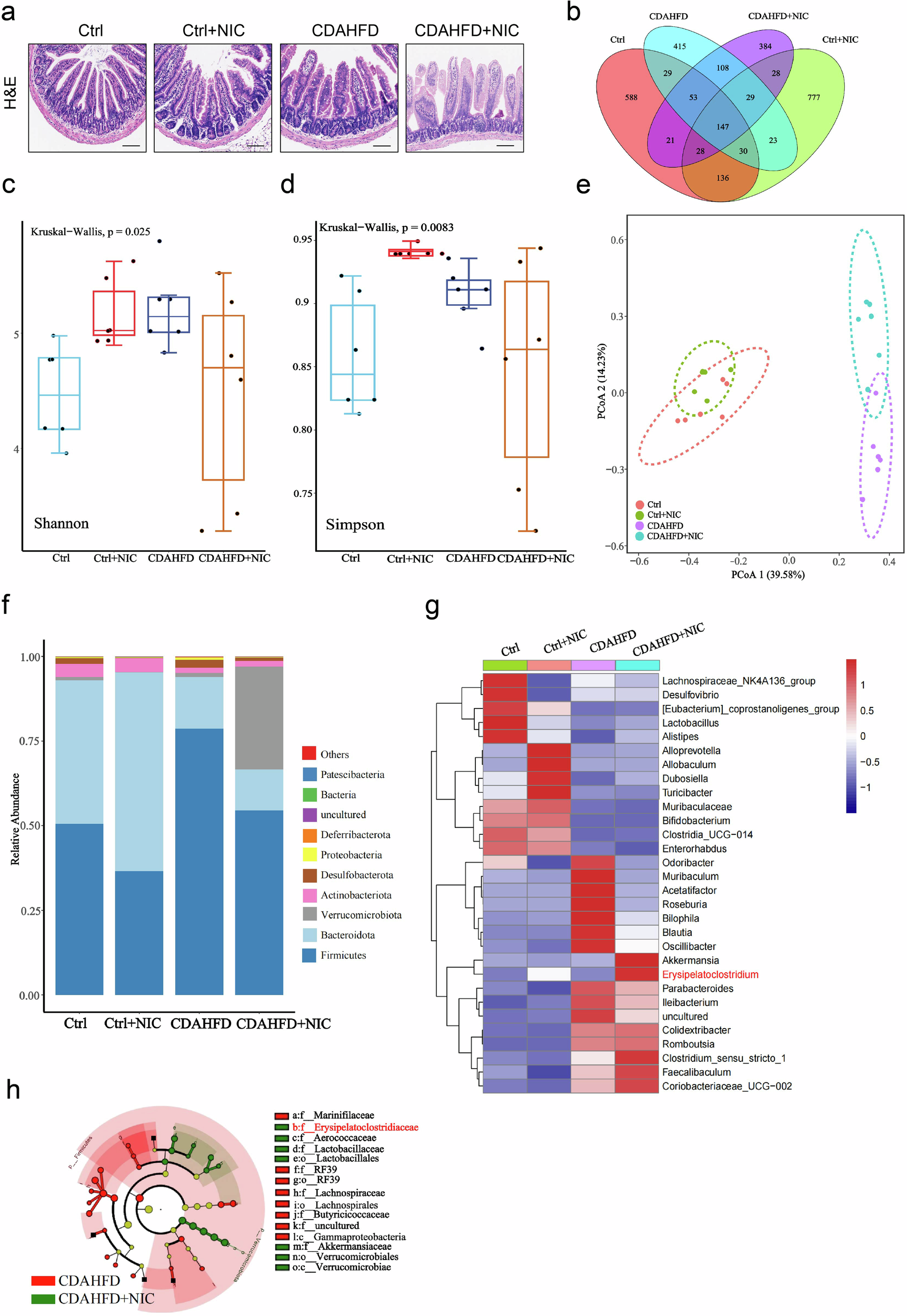 Fig. 2: Nicotine alters the gut microbiota composition in MASH mice.