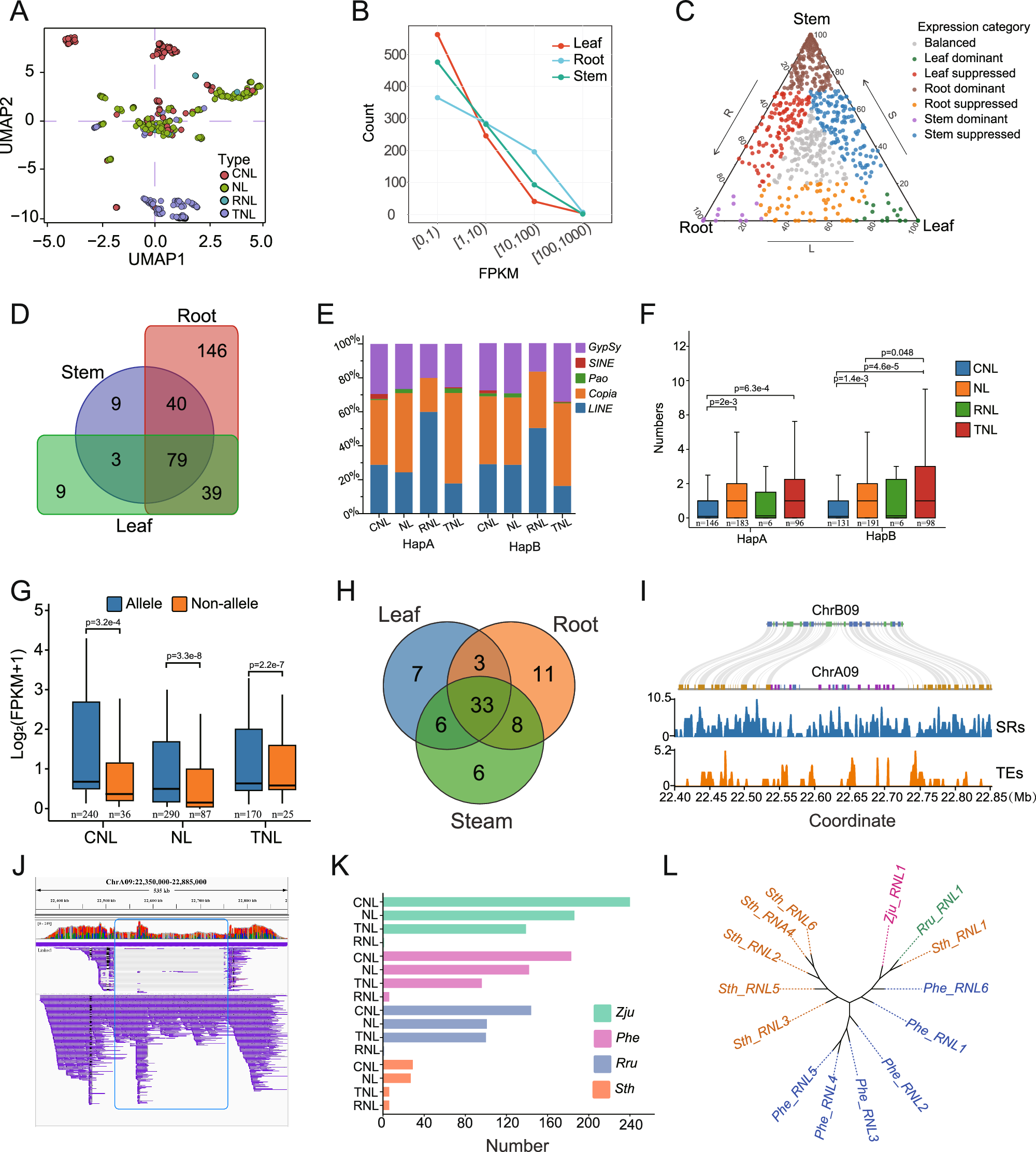 Fig. 4: NLR gene profiles and expressions patterns in the cointree genome.
