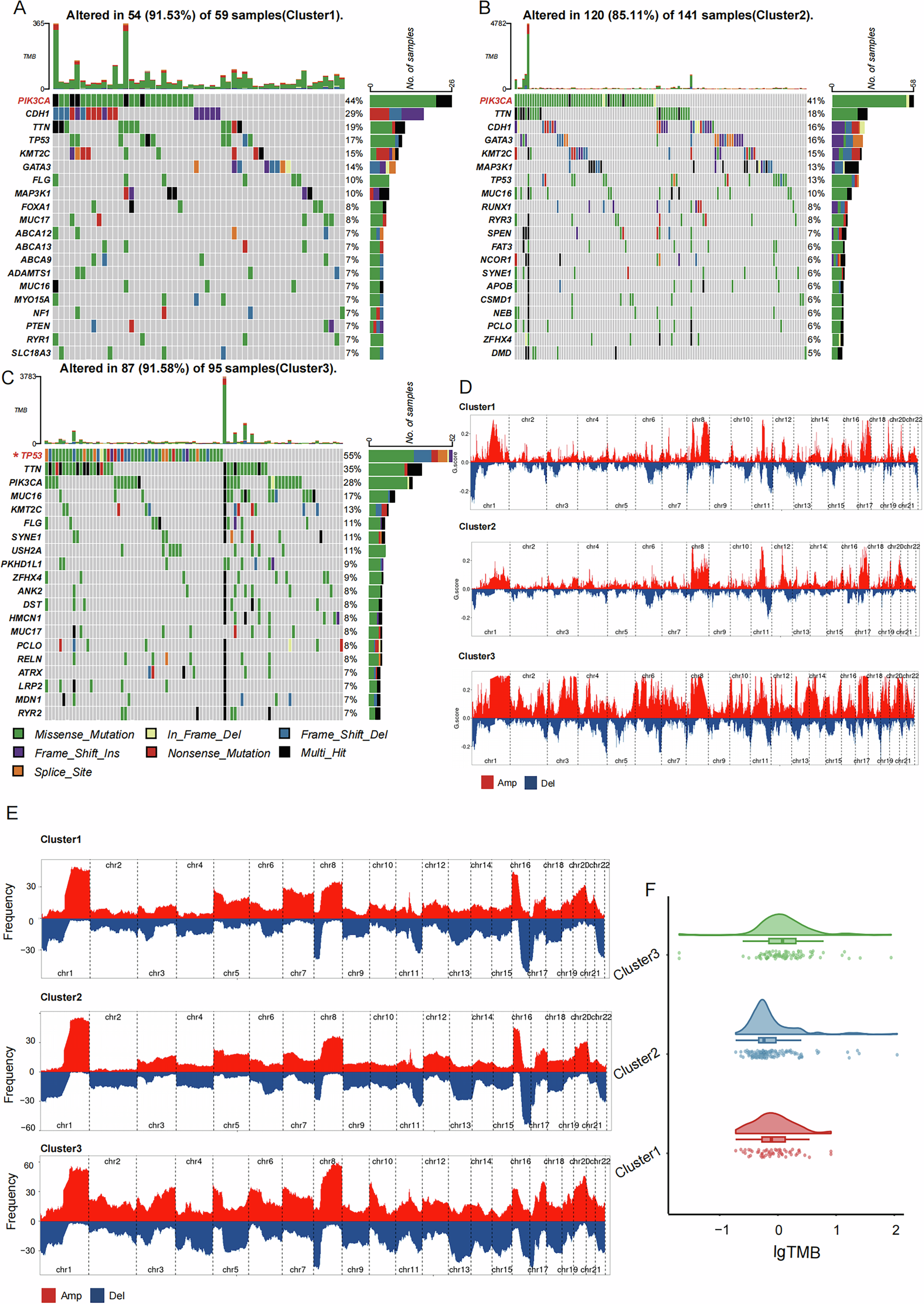 Fig. 4: Different Somatic Mutation Characteristics of the Three AS RNA Processing Patterns.