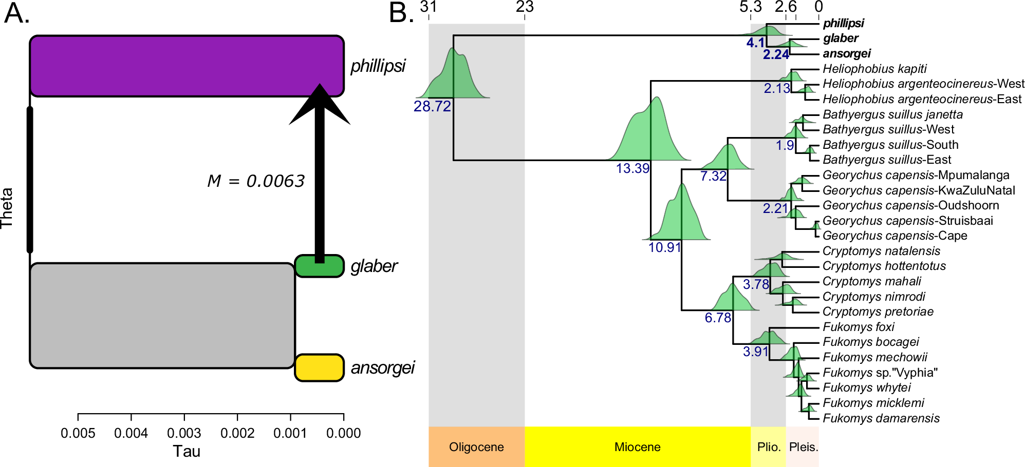 Fig. 3: Migration and dating.