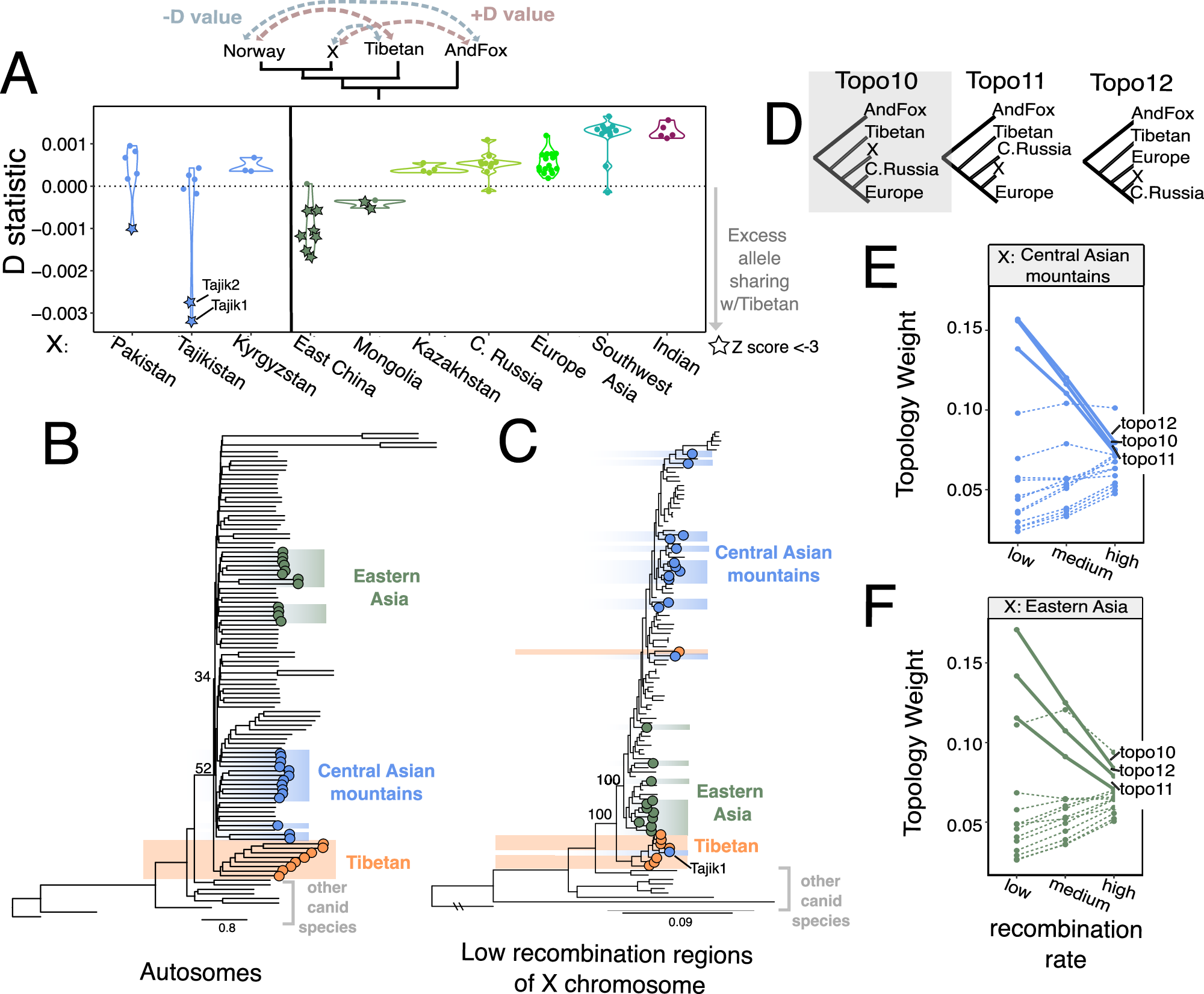 Fig. 2: Evolutionary history of wolves from central Asia and eastern Asia.