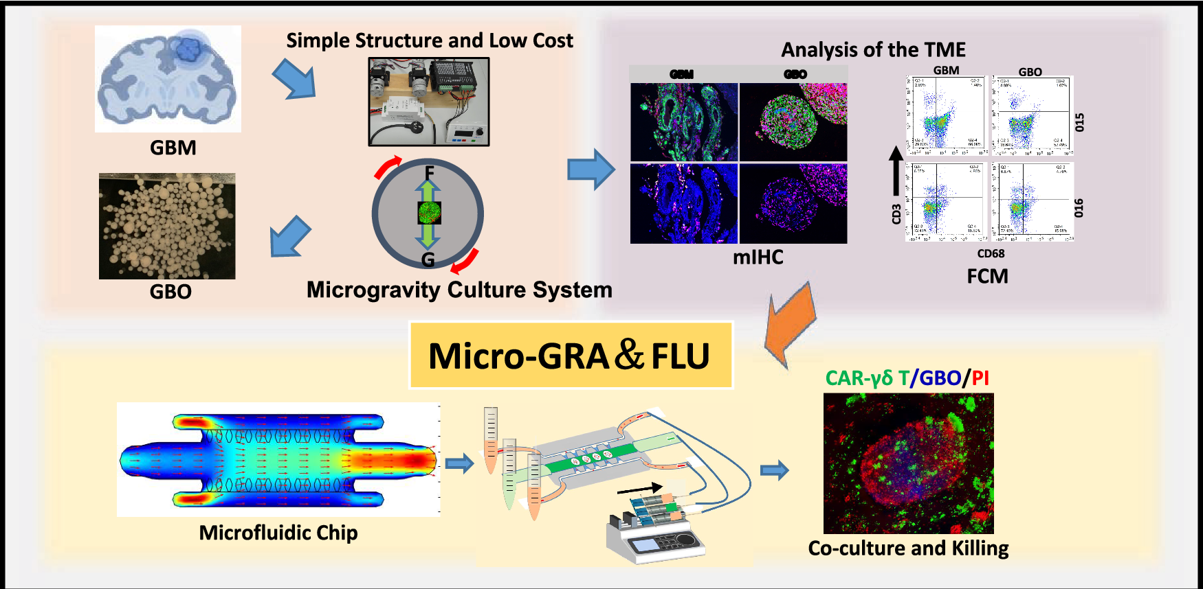 Fig. 6: Workflow diagram.
