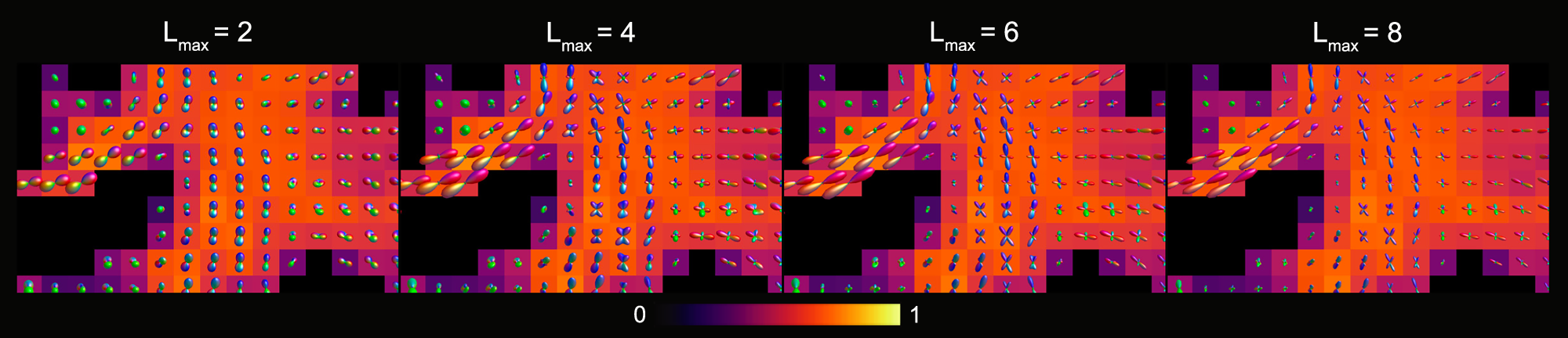 Fig. 5: Visualization of the centrum semi-ovale for different spherical harmonics orders (lmax) of the in vivo dataset.