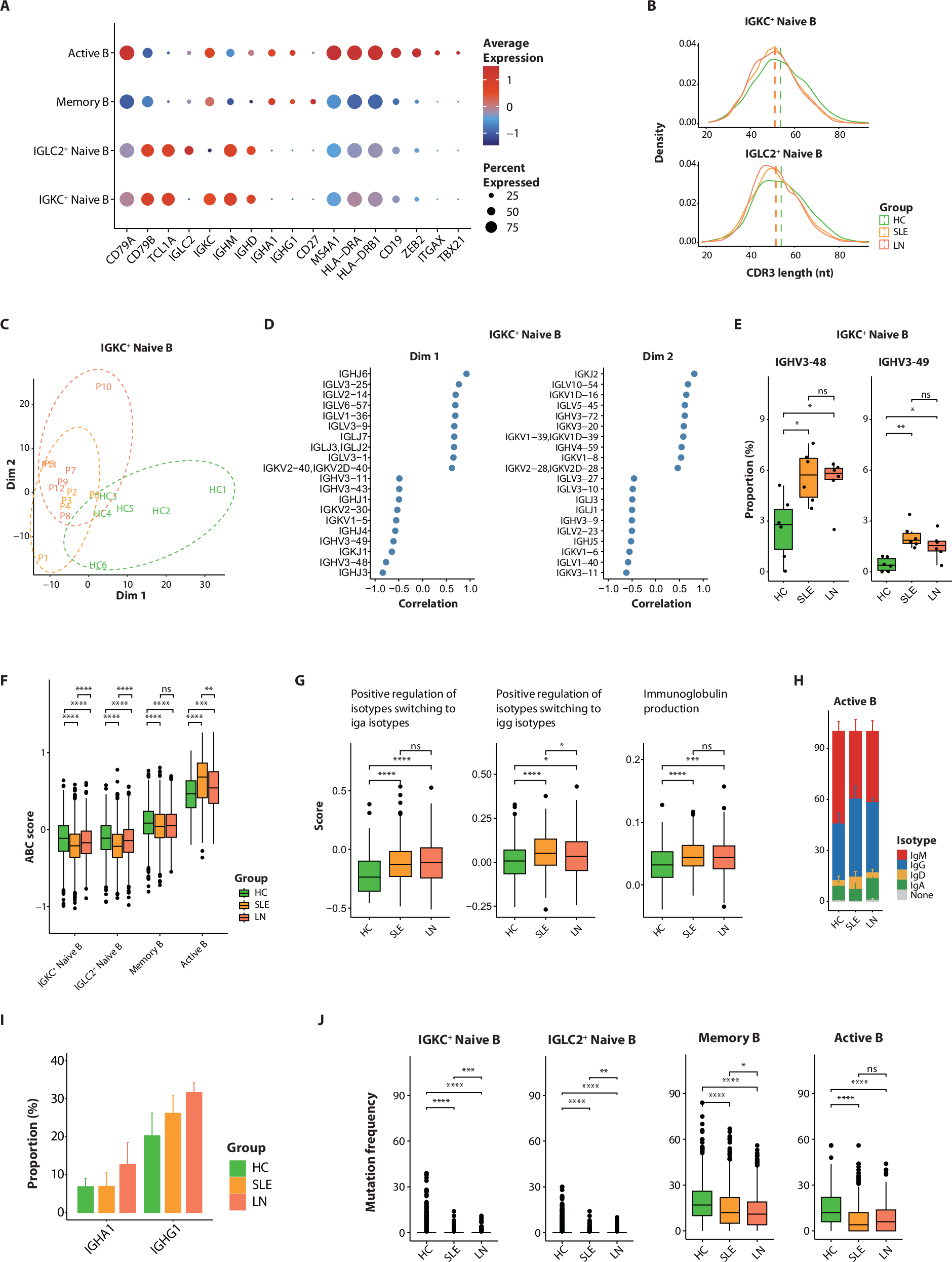Fig. 2: Alterations of circulating B cells in LN patients.