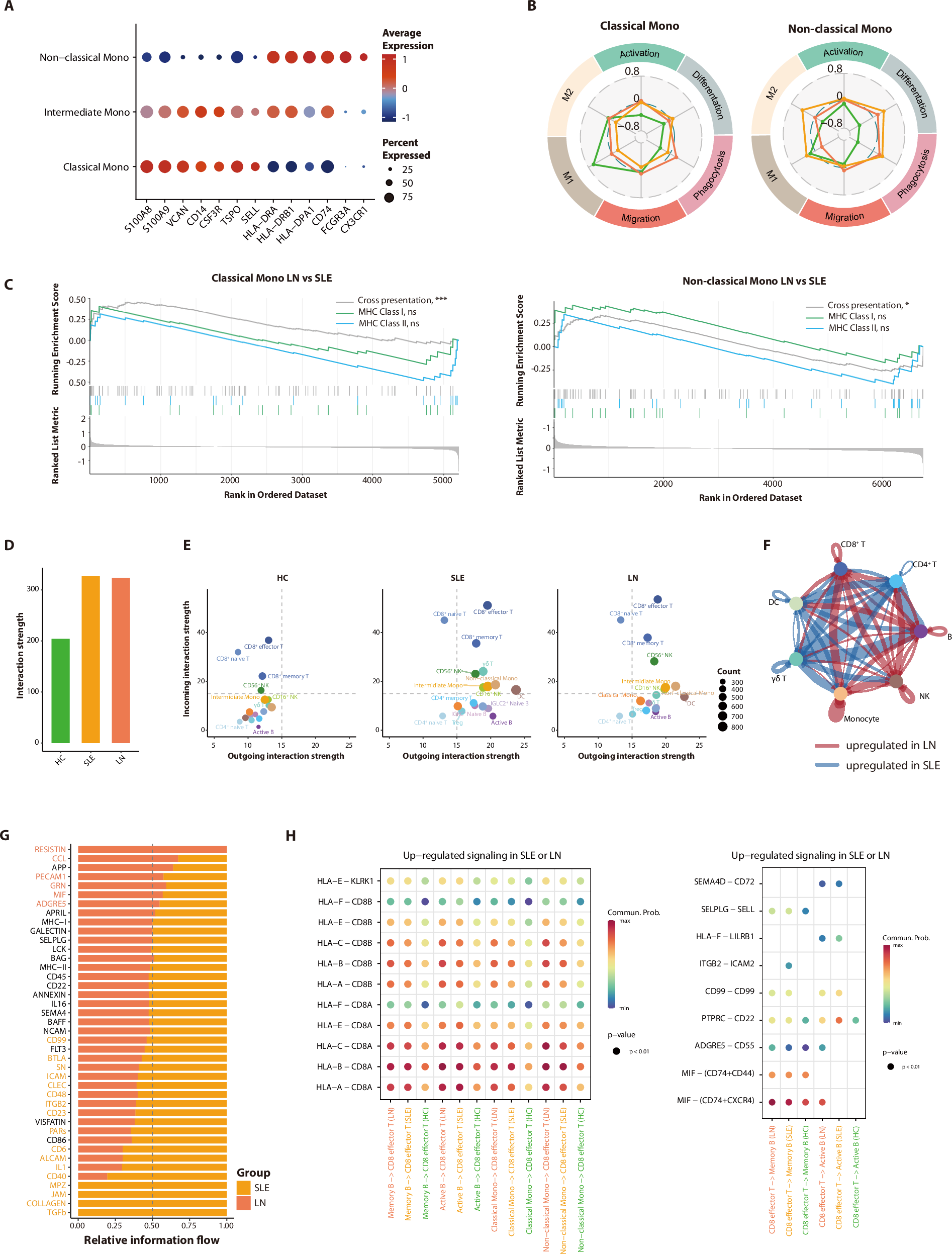 Fig. 5: Enhanced antigen presentation and cellular interactions in lupus patients.