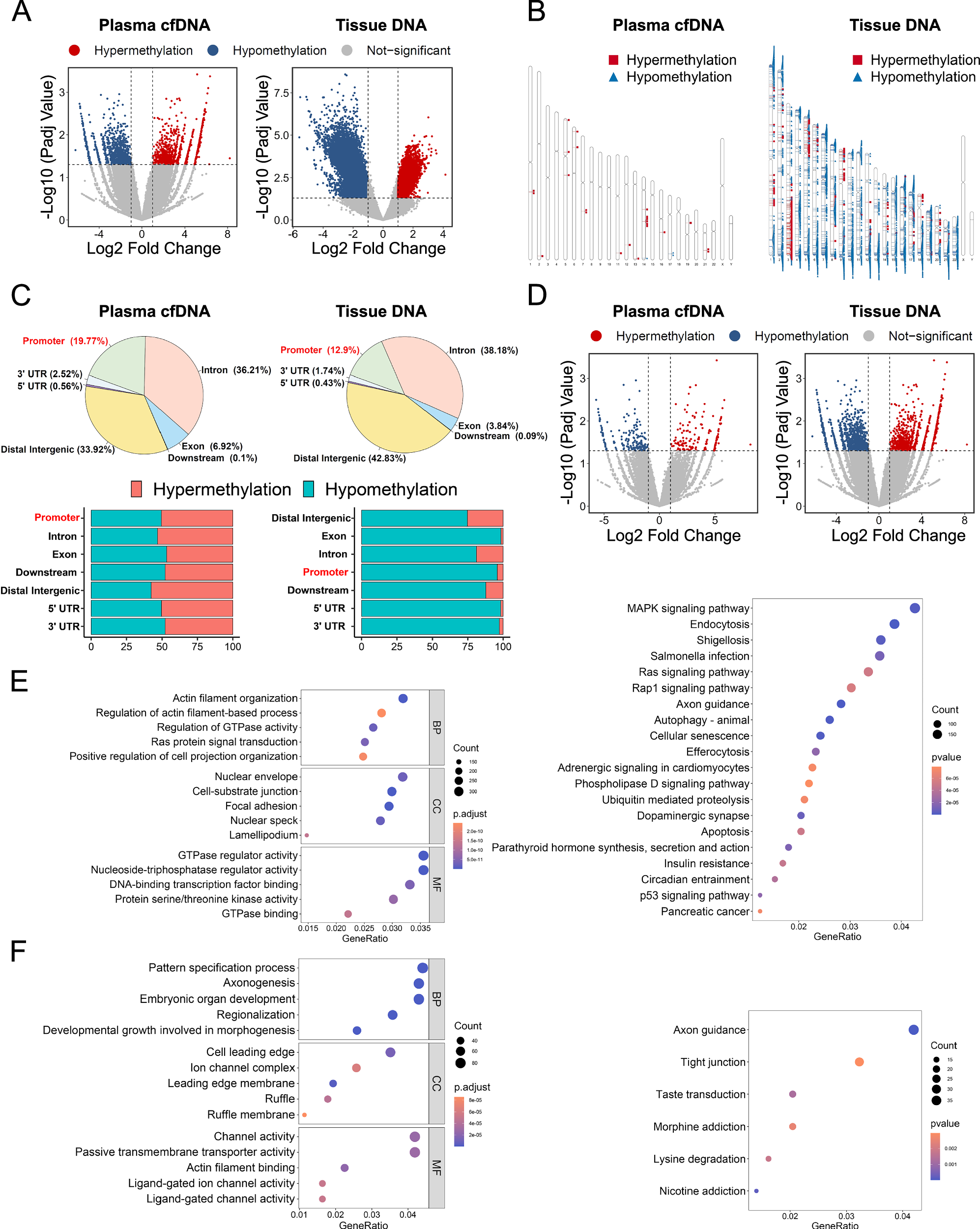 Fig. 1: MeDIP-seq reveals genome-wide methylation profiles in SCLC.