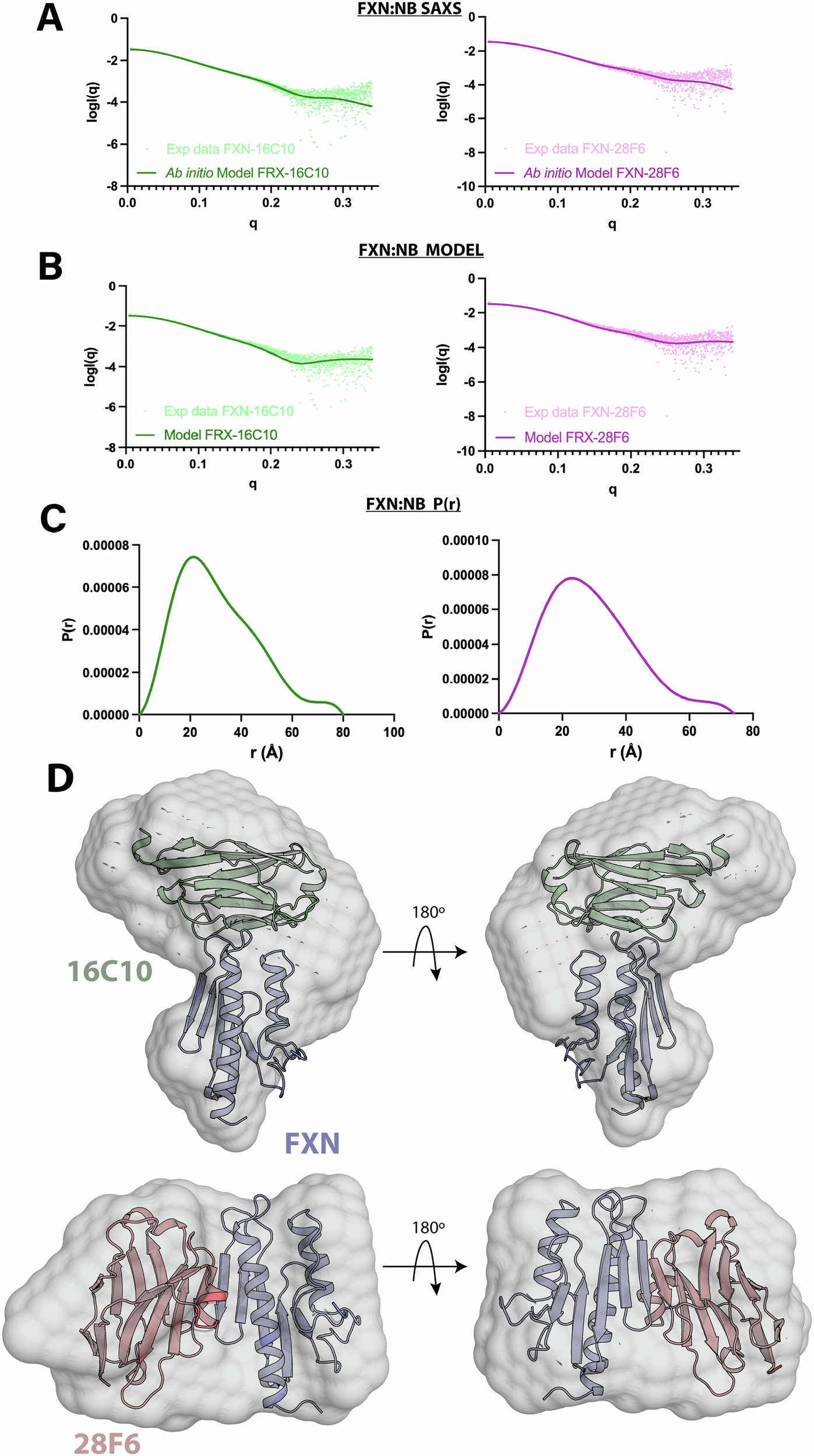 Fig. 7: Analysis by SAXS of complexes FXN:NB_28F6 and FXN:NB_16C10.