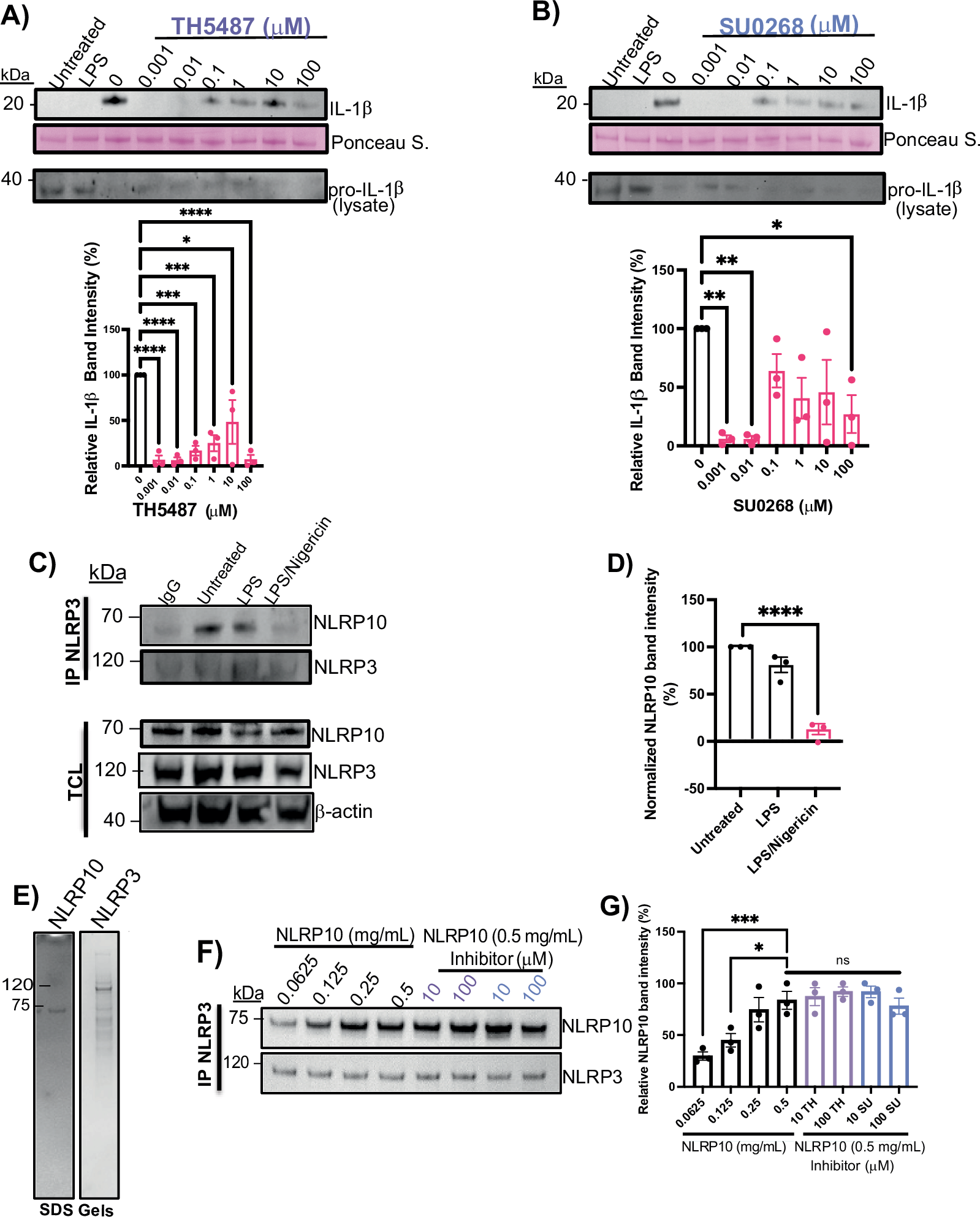 Fig. 3: NLRP10 directly binds NLRP3, and the association decreases upon activation.